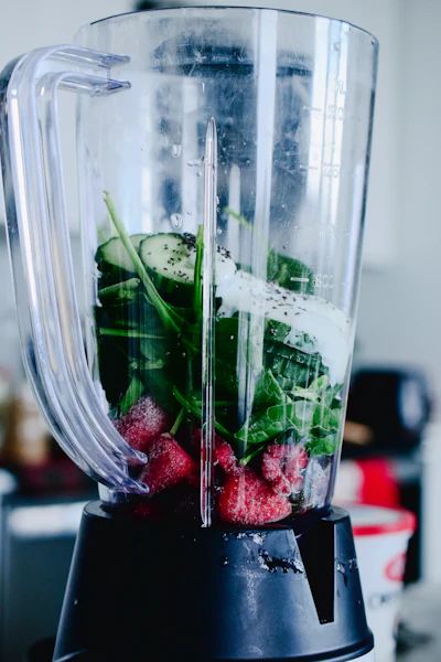 Vitamix Explorian E310