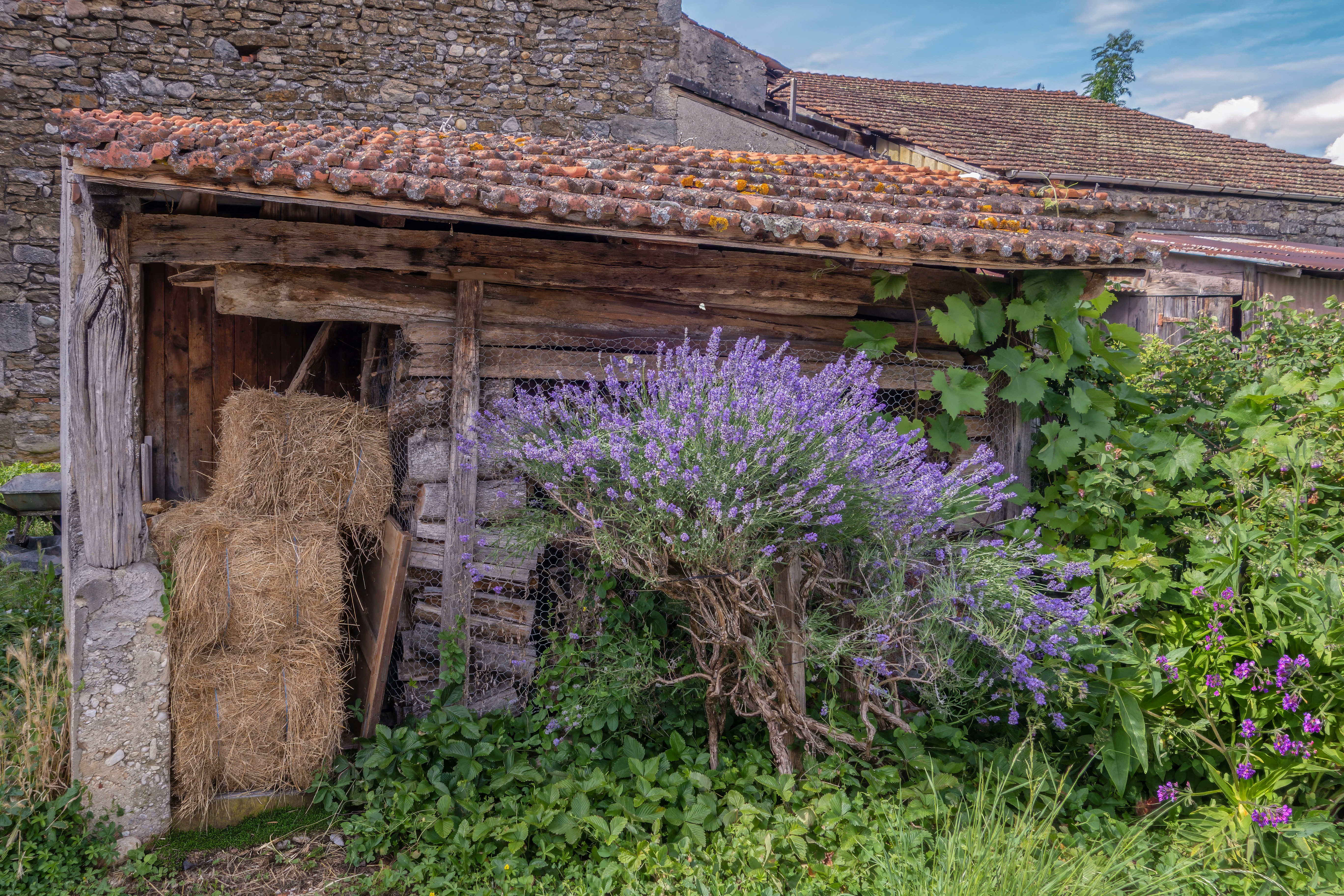 provence rustic interior wallpaper, wallpaper, French Country Wall Art for Walk-in Closet: Top Style Tips 3