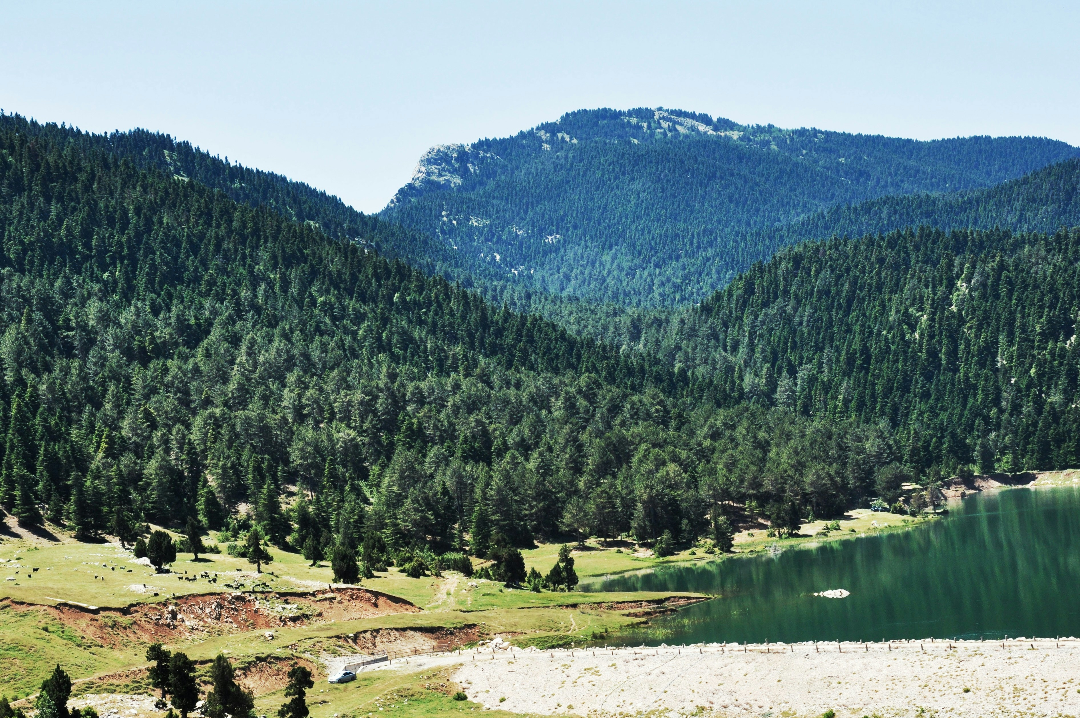 A serene lake surrounded by lush green forests and mountains.