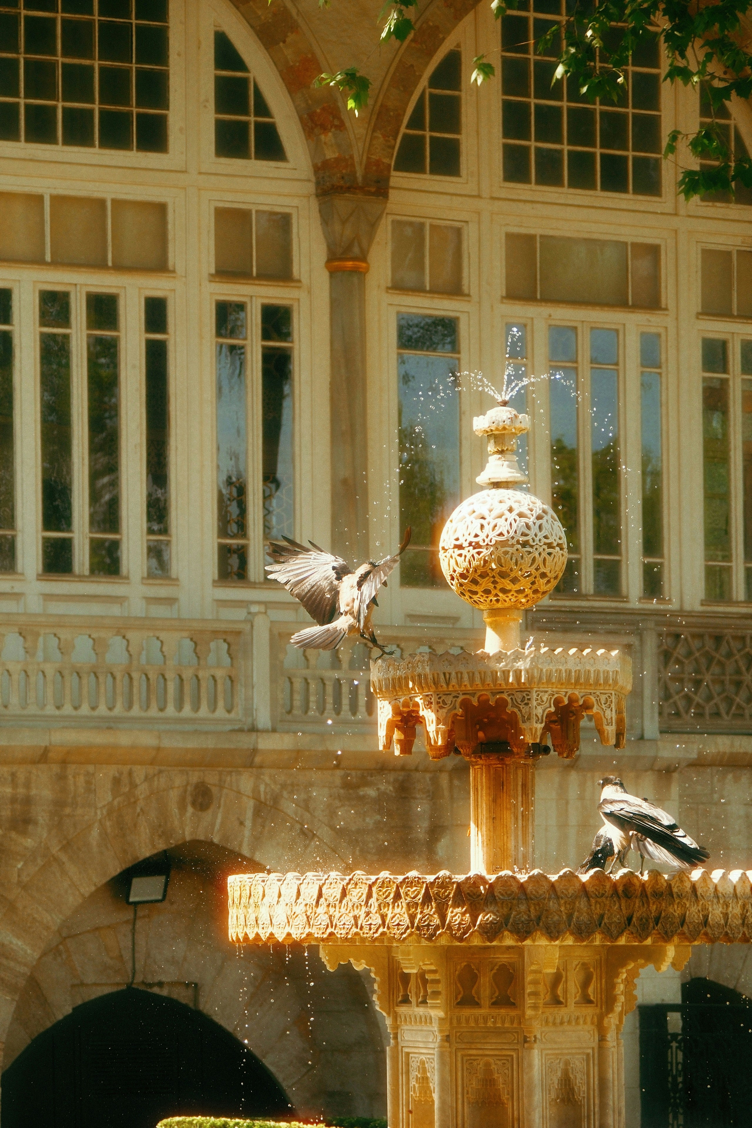 Photo by gokhannn