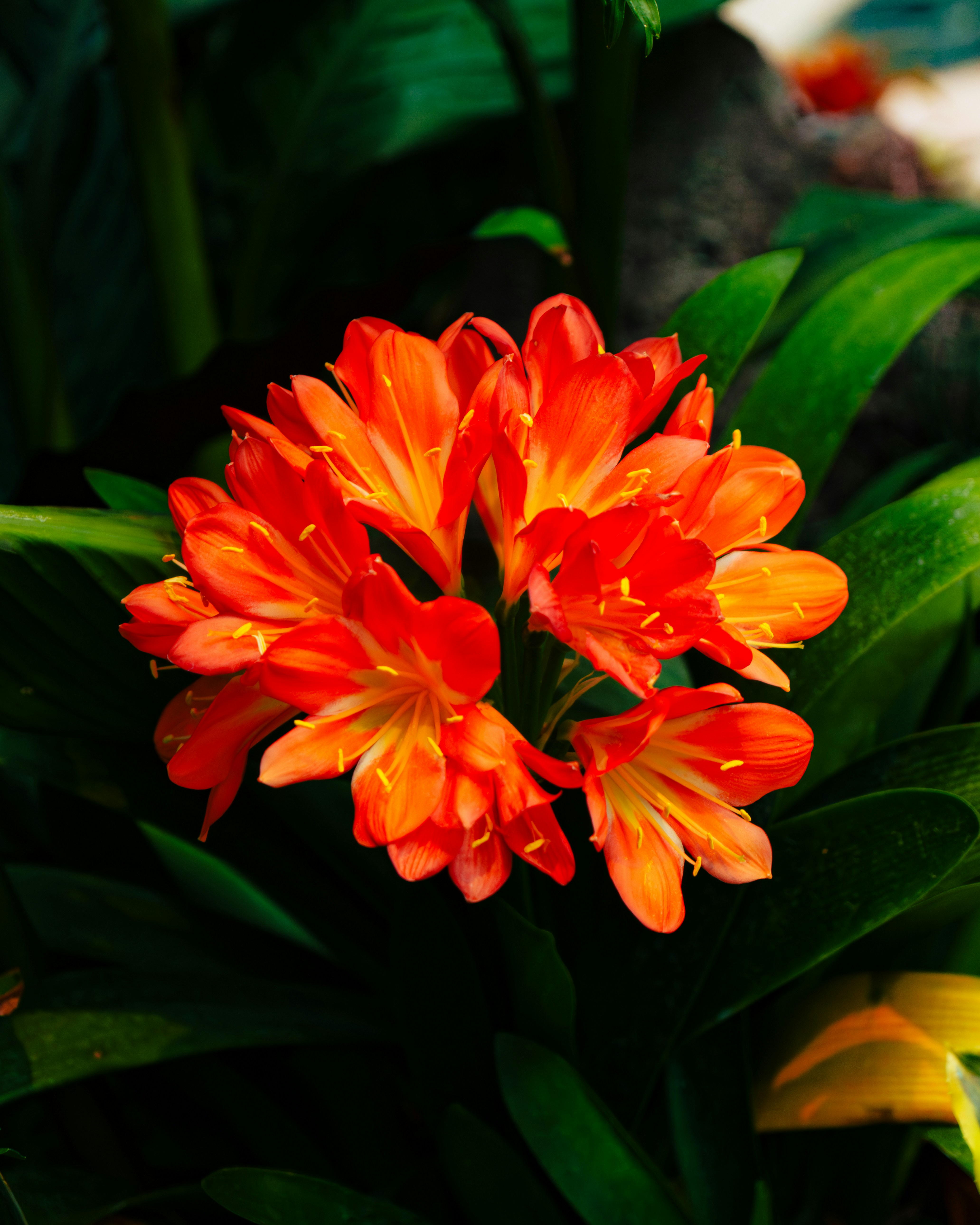 Photo by jnbanasik