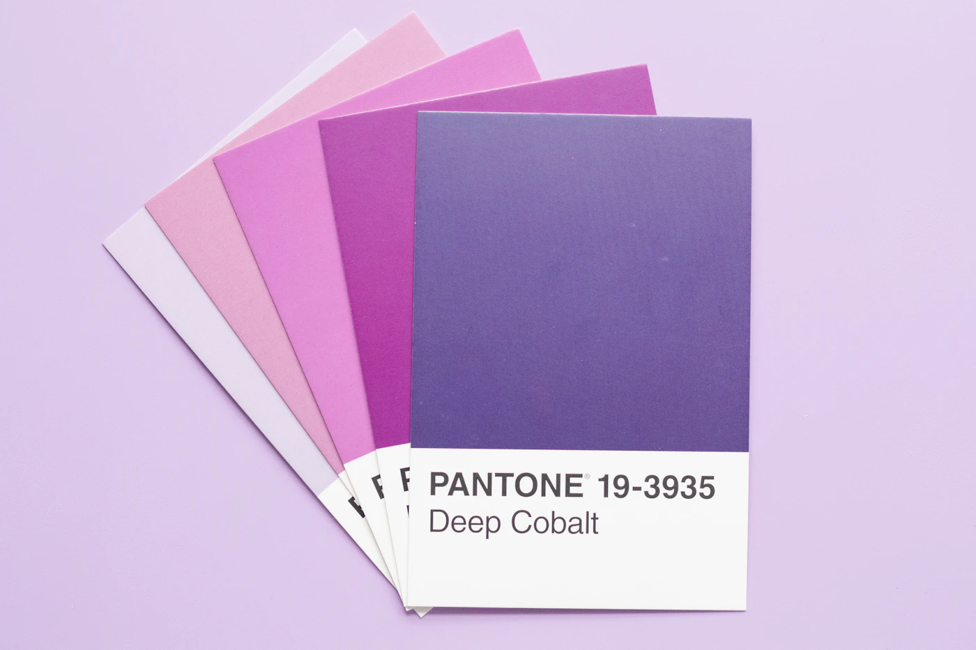 Branding, colores e identidad visual