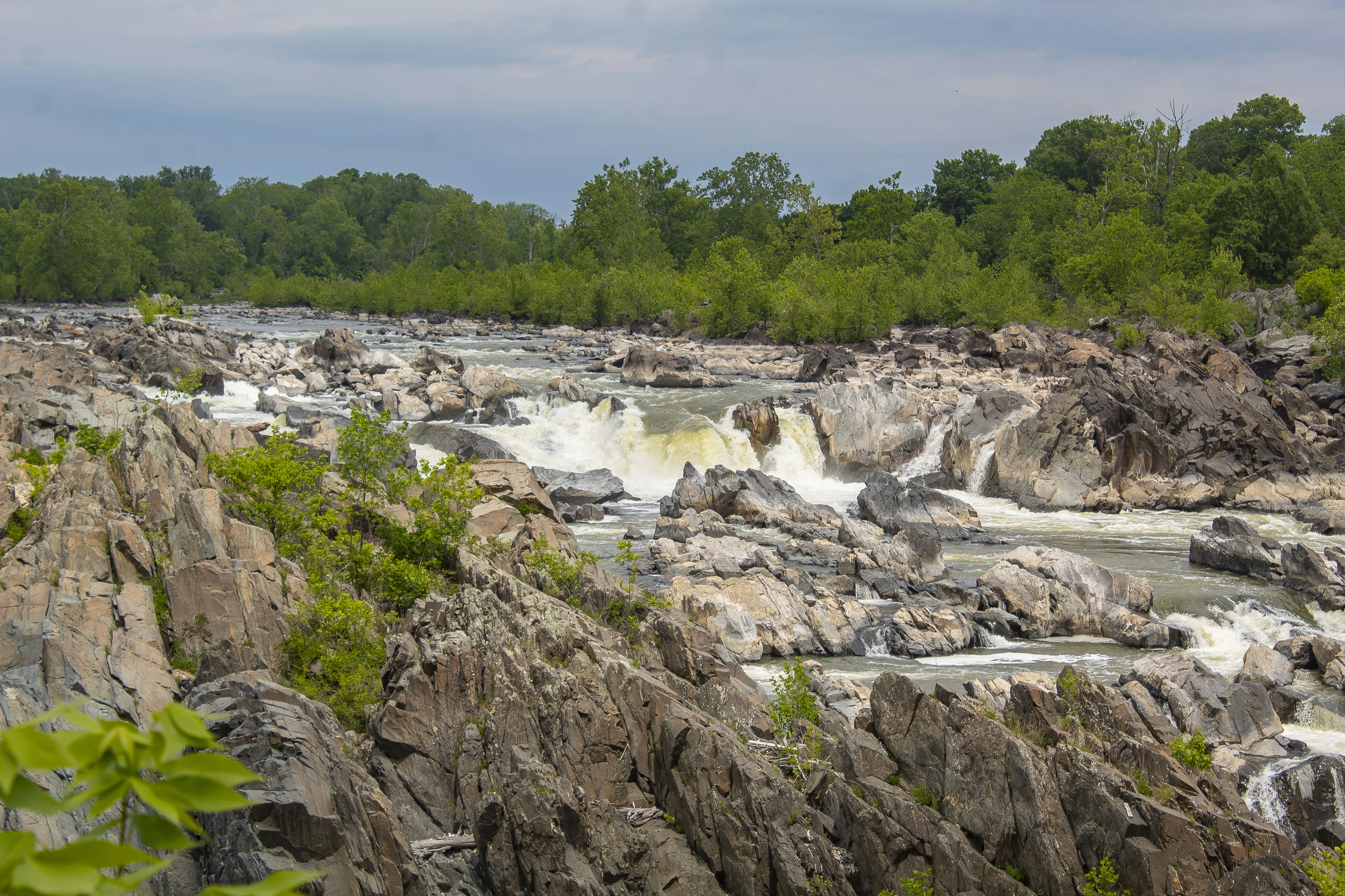 Rocky river with waterfalls flows through a lush green forest.