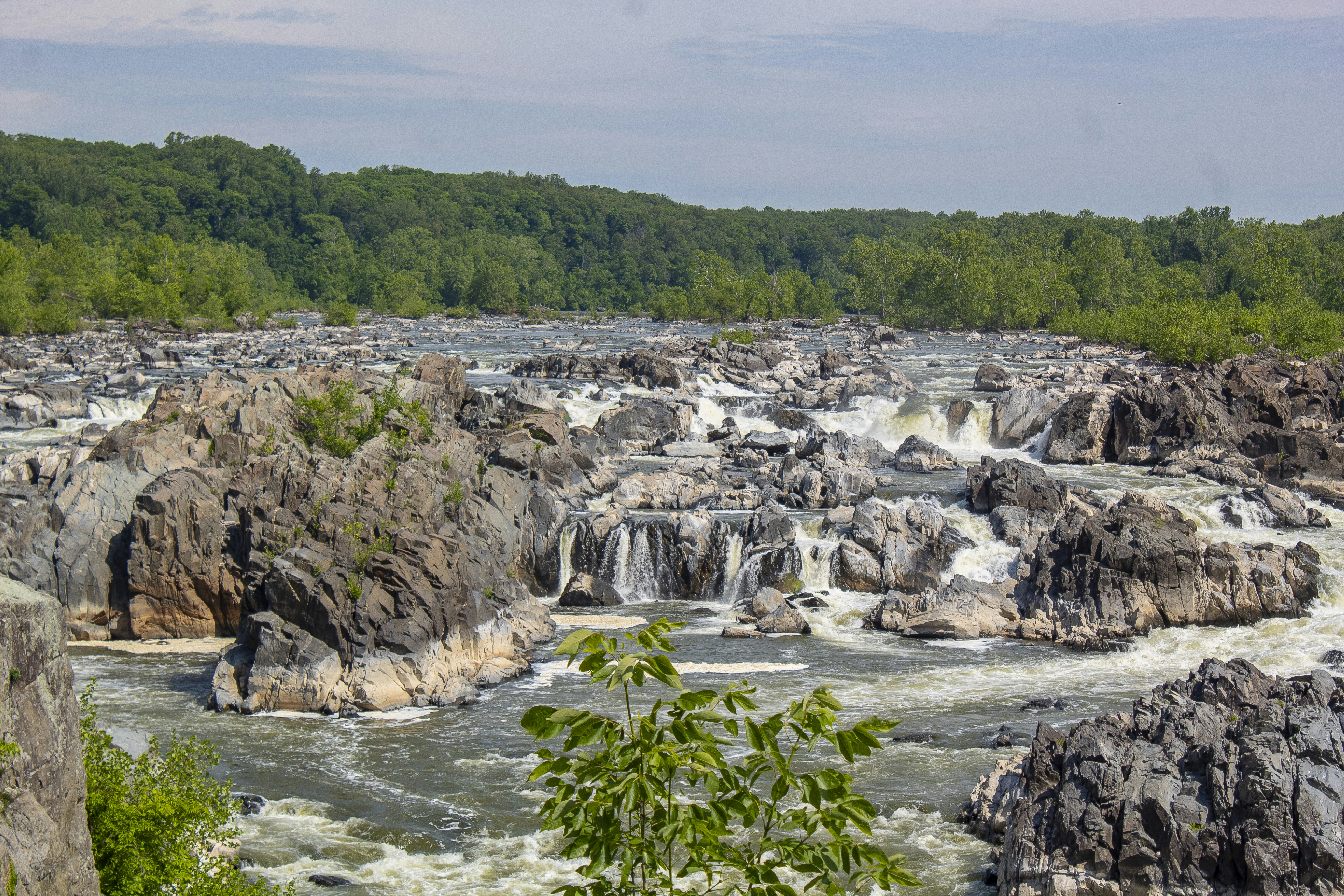 Great falls of potomac river with rocky rapids.