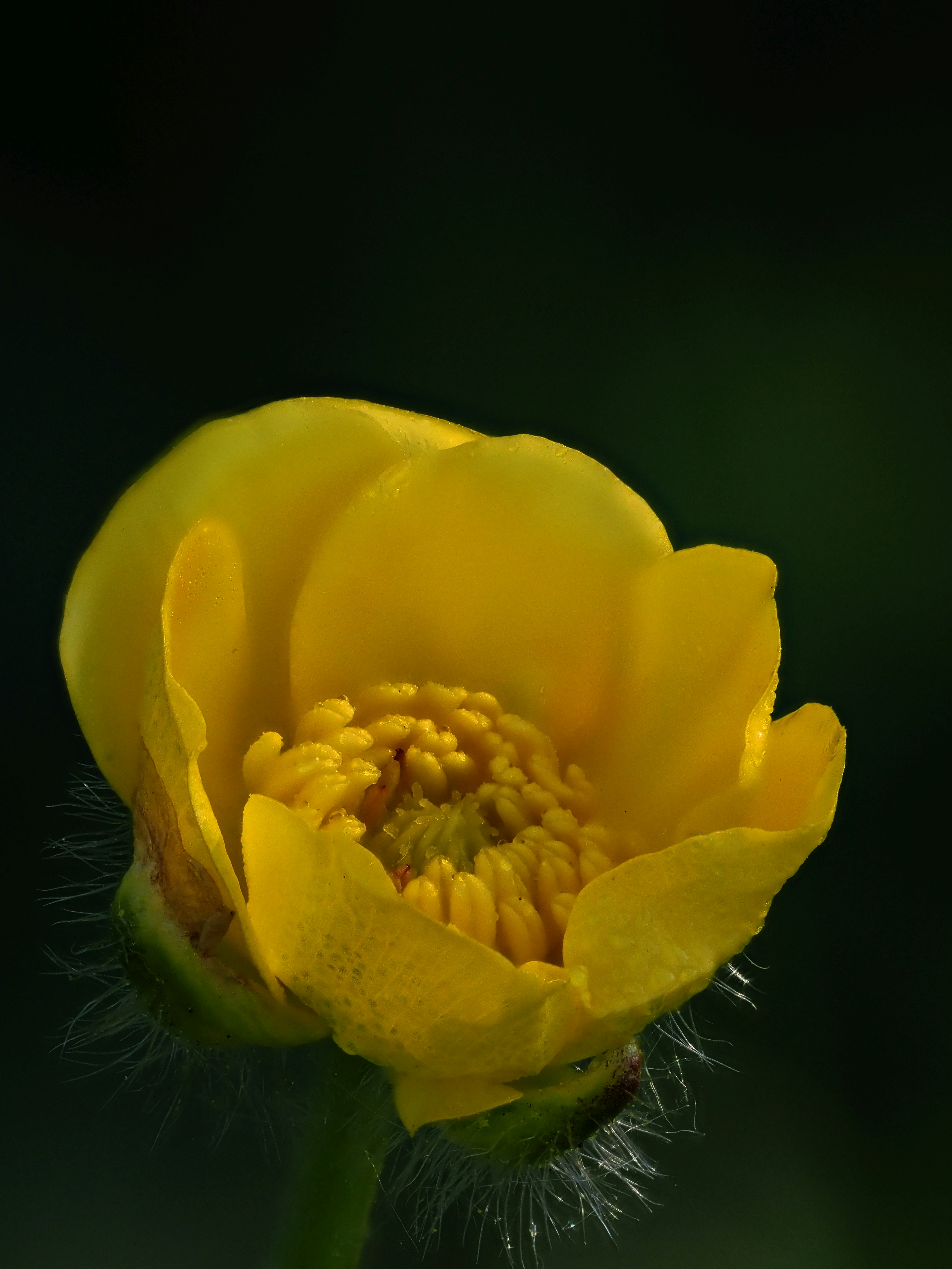 Photo by juriia56