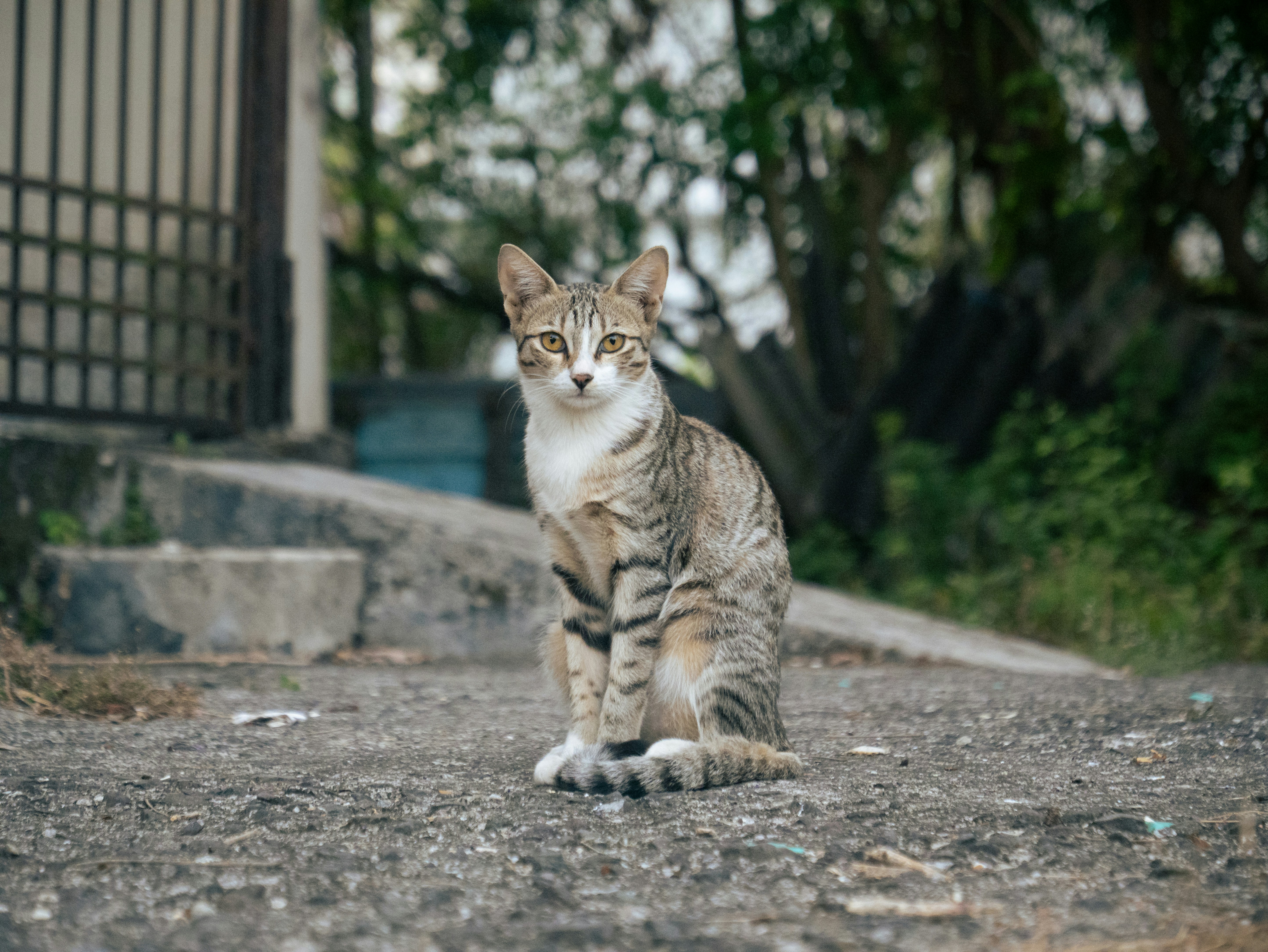 Photo by nabilnaidu