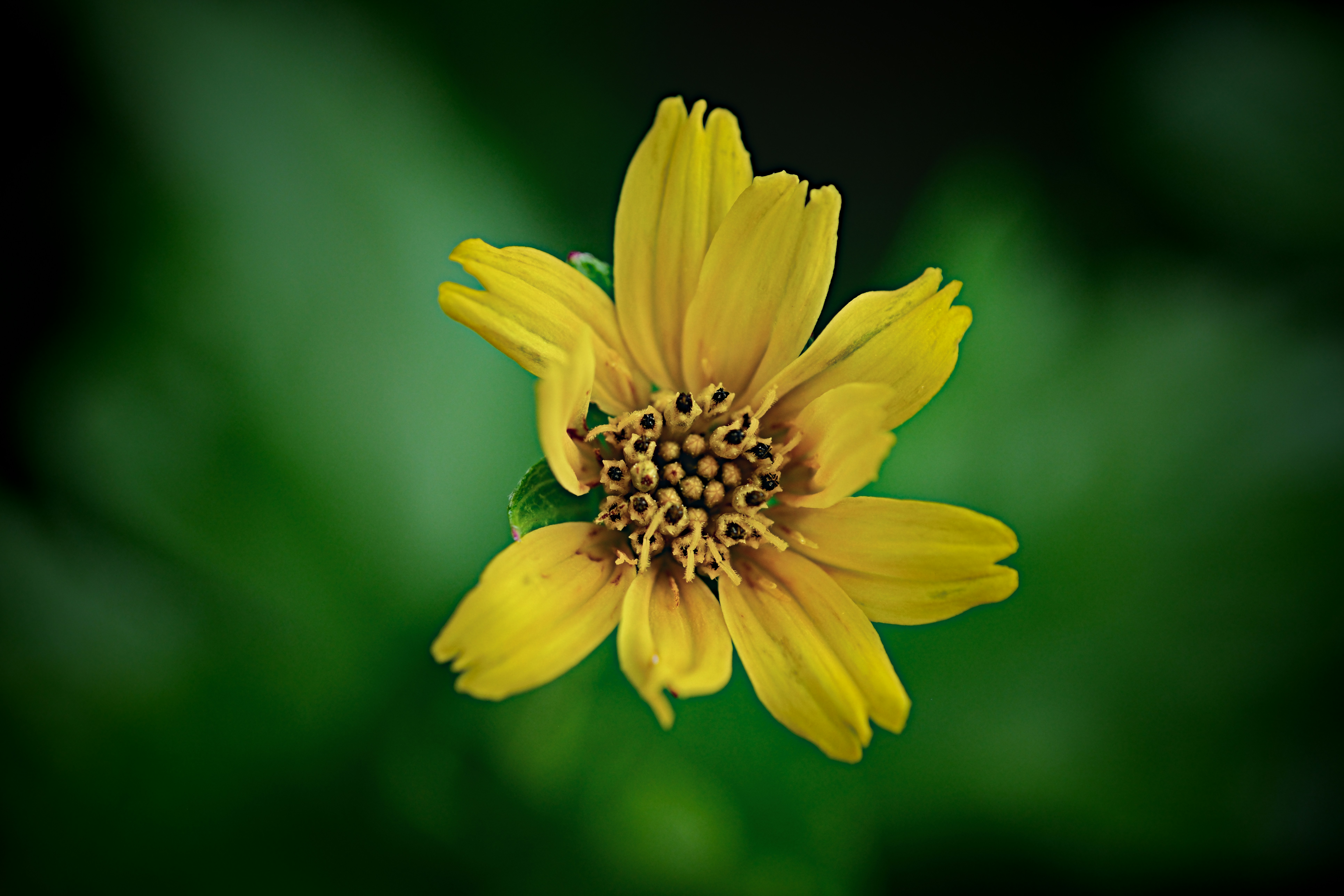 Photo by ahkheong