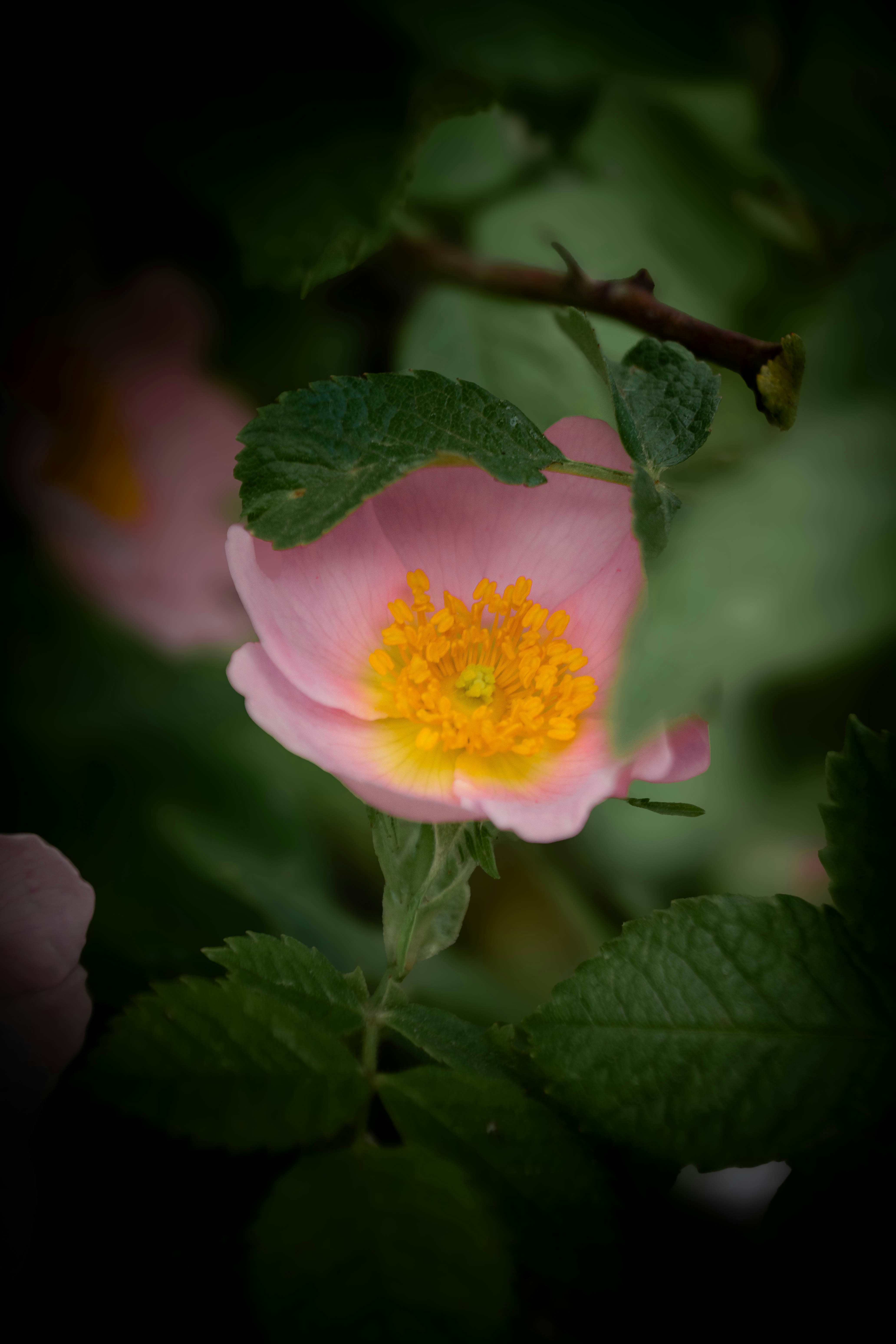 Photo by maviatlas