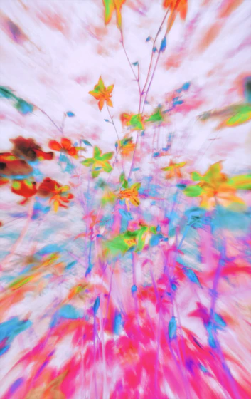 Colorful, blurred flowers with vibrant abstract hues.