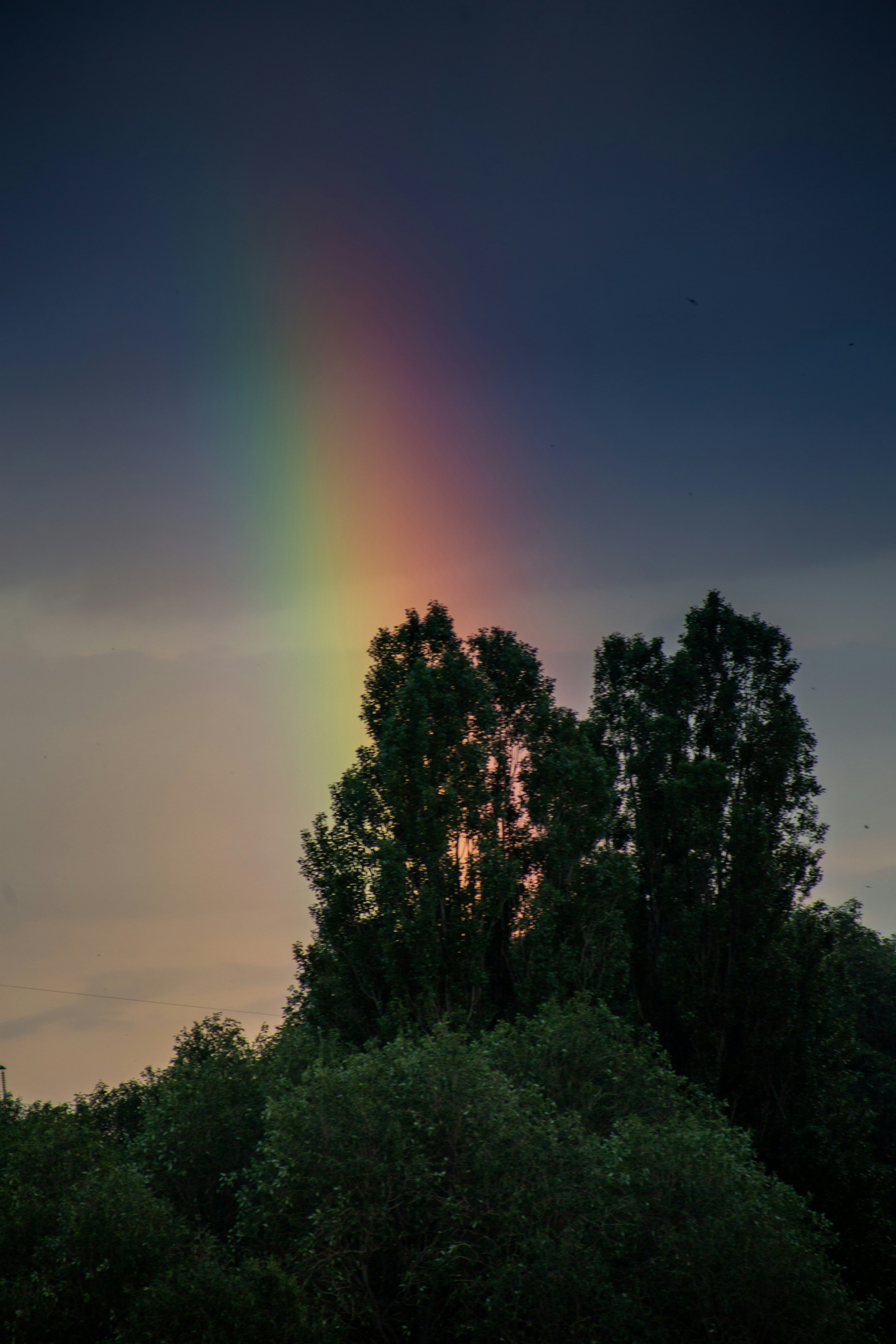 Photo by rozanovz