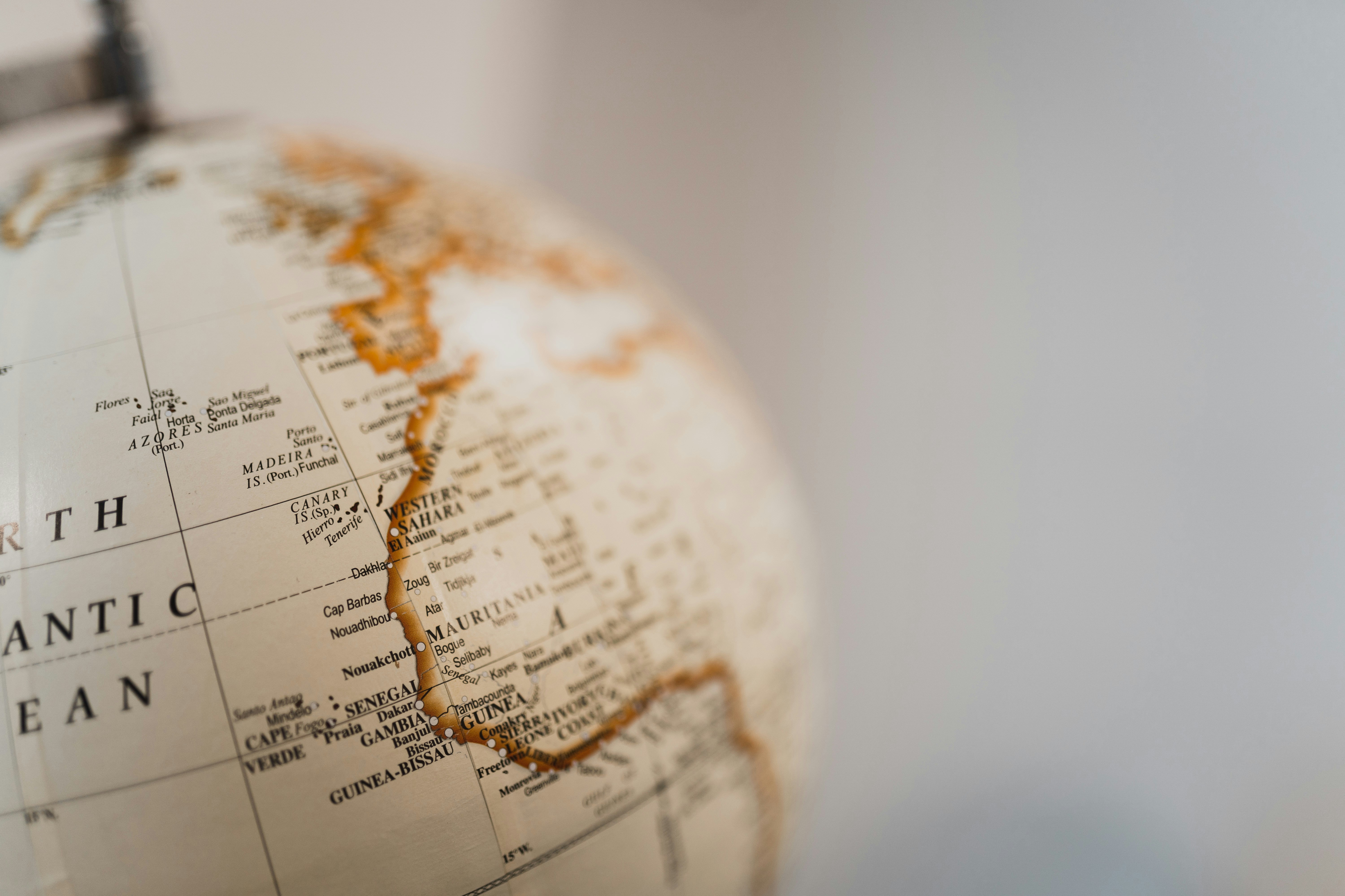 Grasping Registered Agent Documentation: Your Overview to Conformity