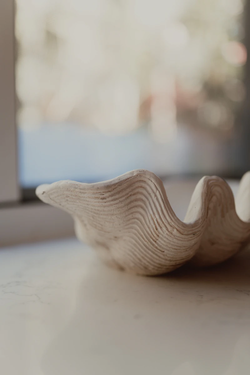 A large textured clam shell on a light surface