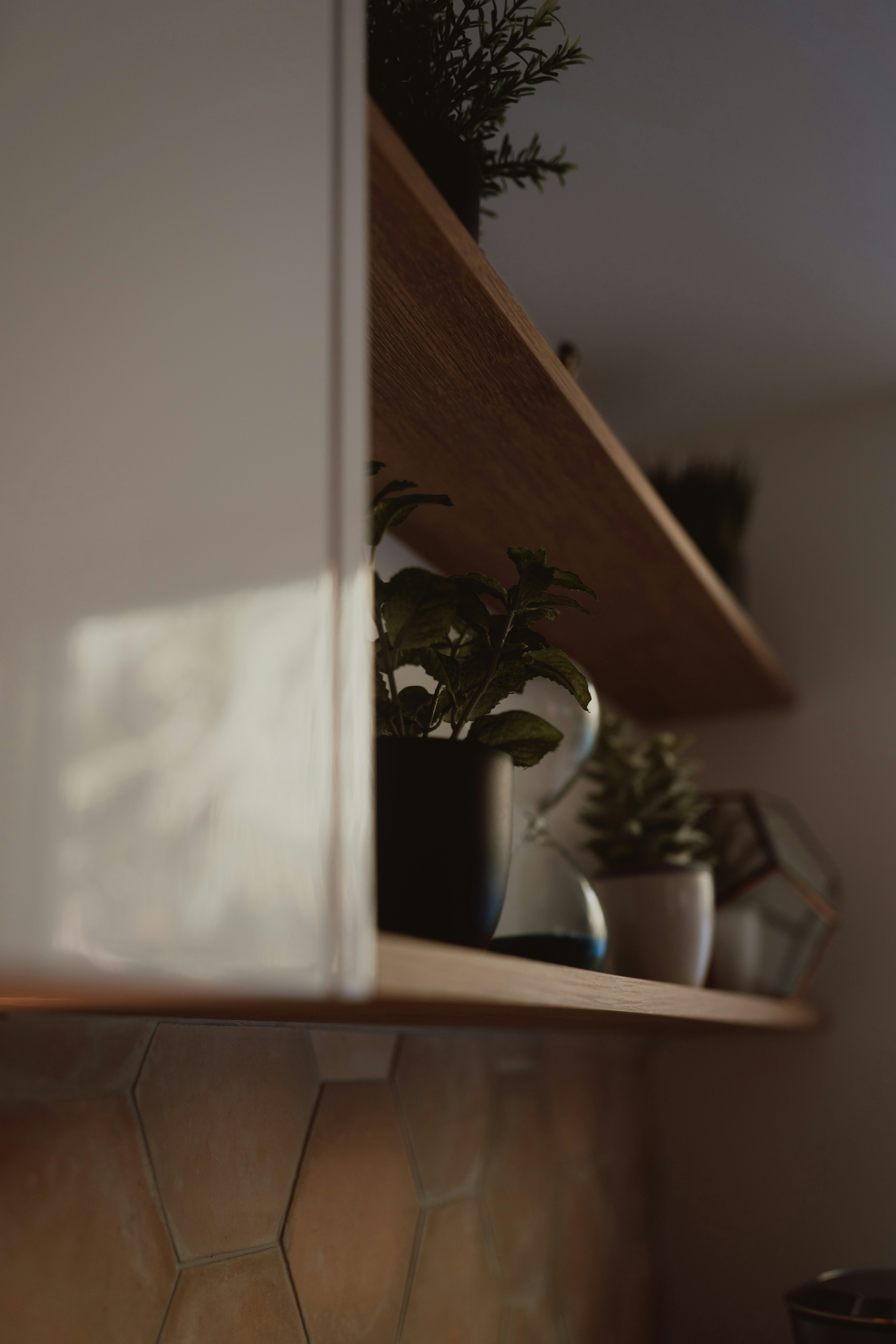 Photo by graceannefully
