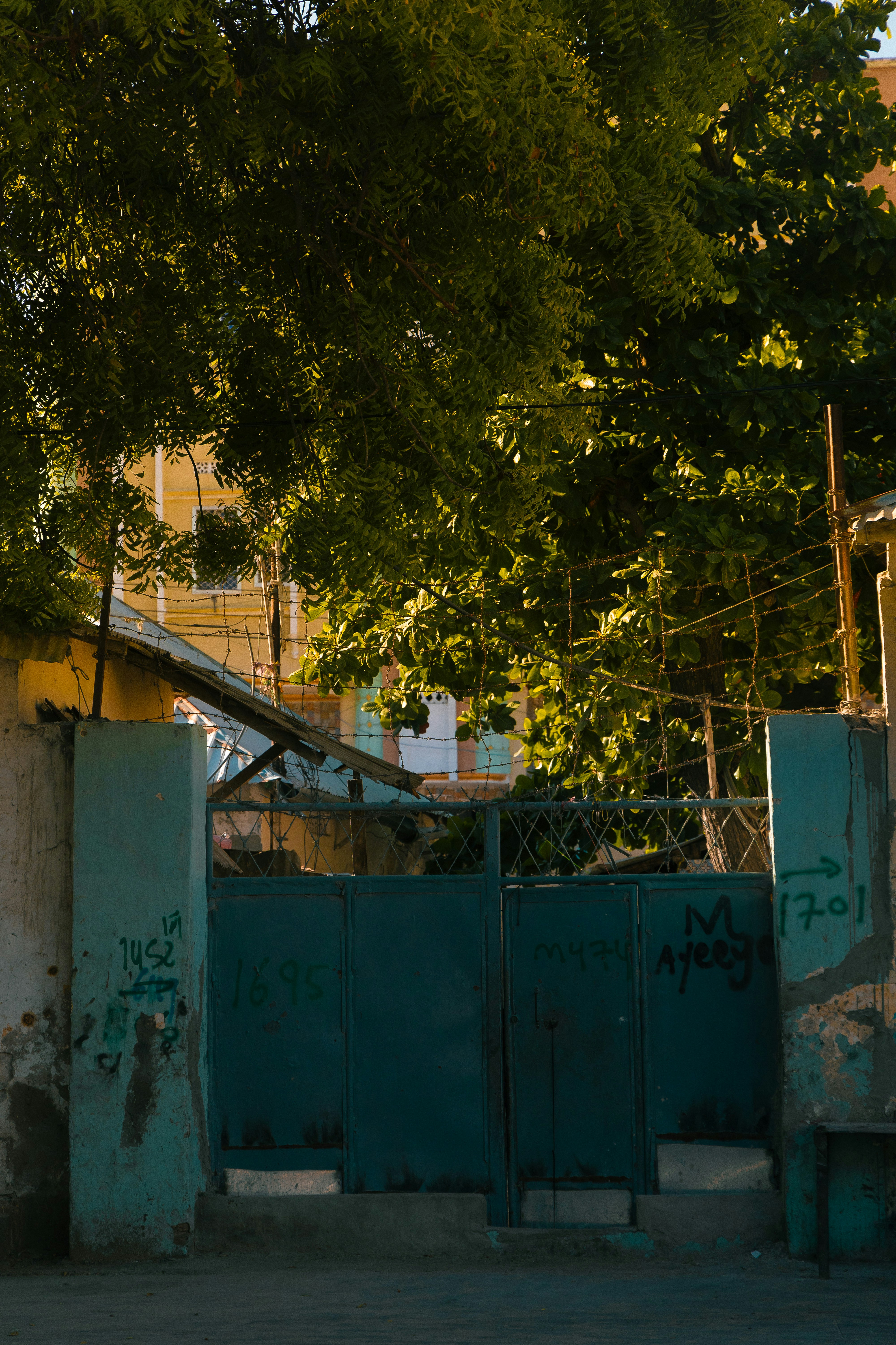 Photo by uncannystranger