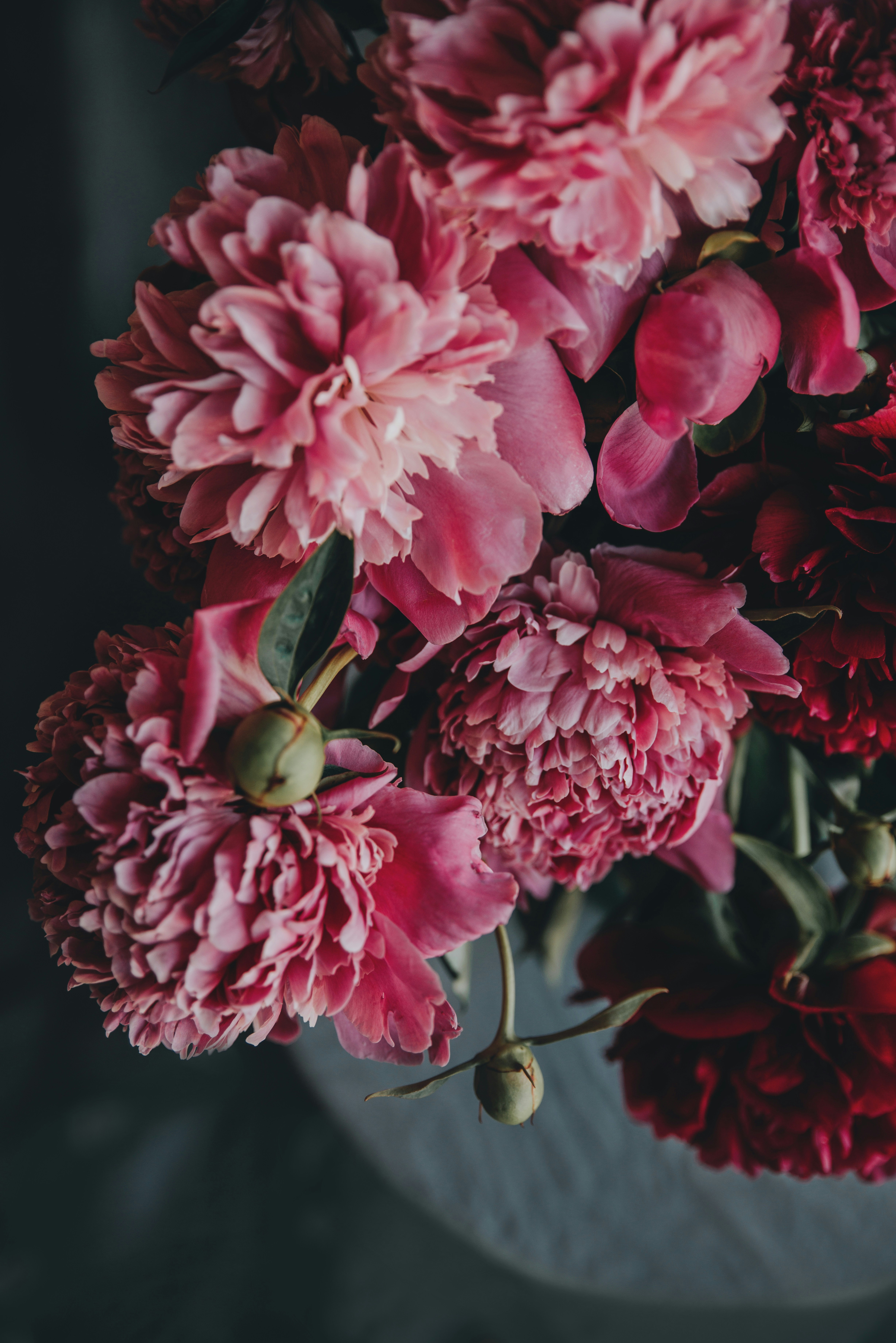 Photo by anitaaustvika