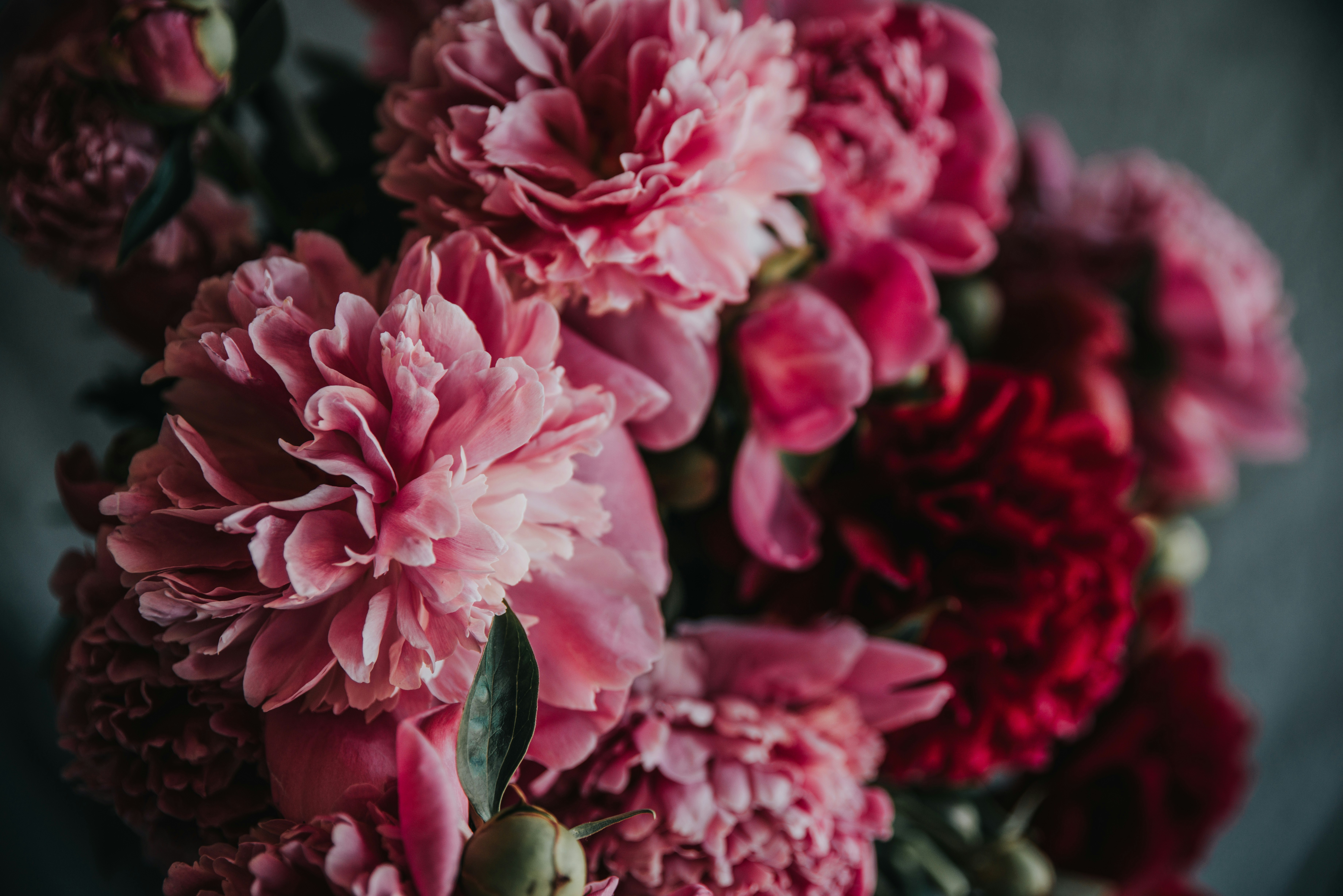 Photo by anitaaustvika