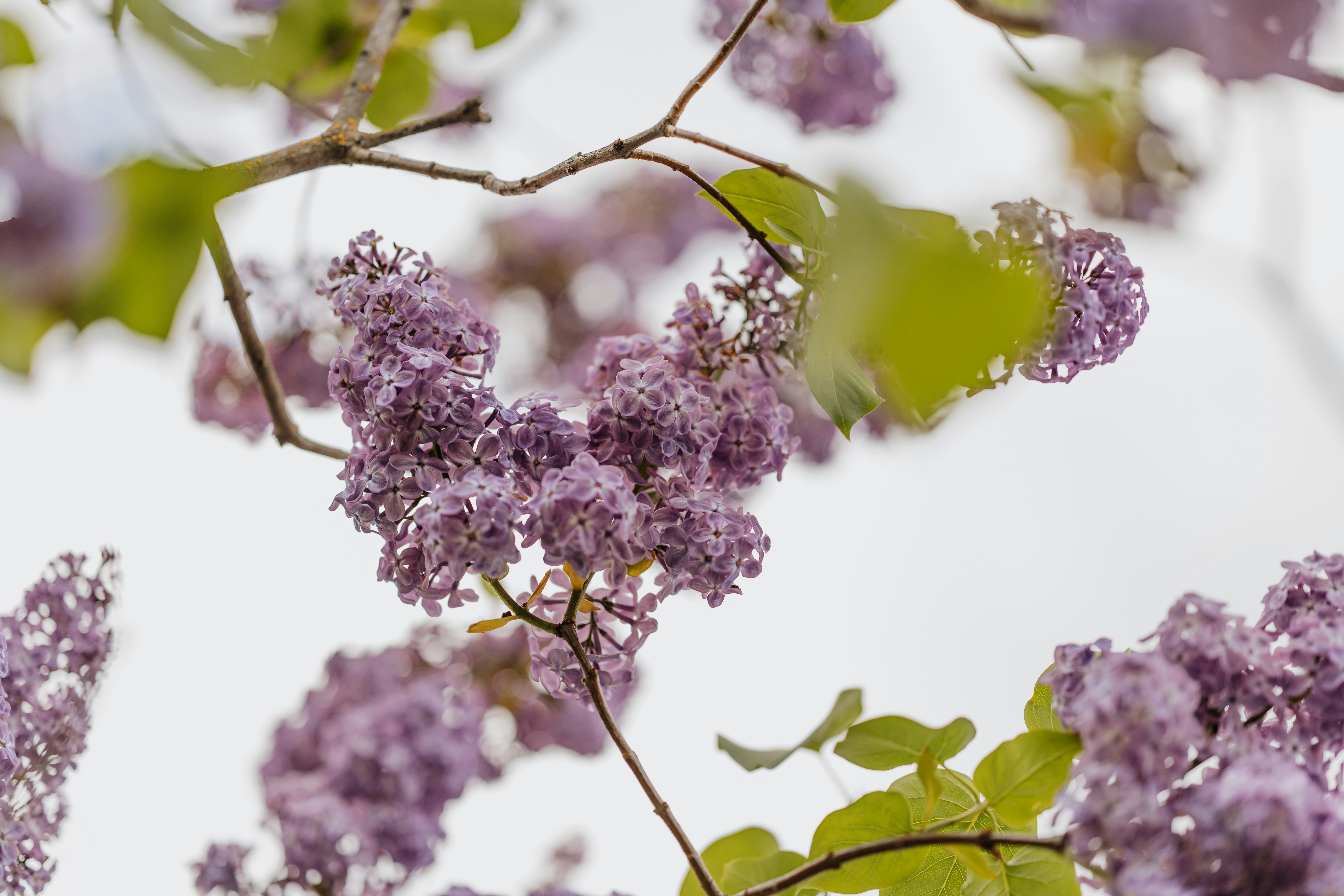 Photo by anitaaustvika