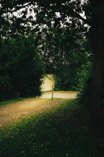 Dark trees frame a path leading to a bright structure