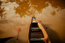 Canoe on muddy water with palm tree reflections