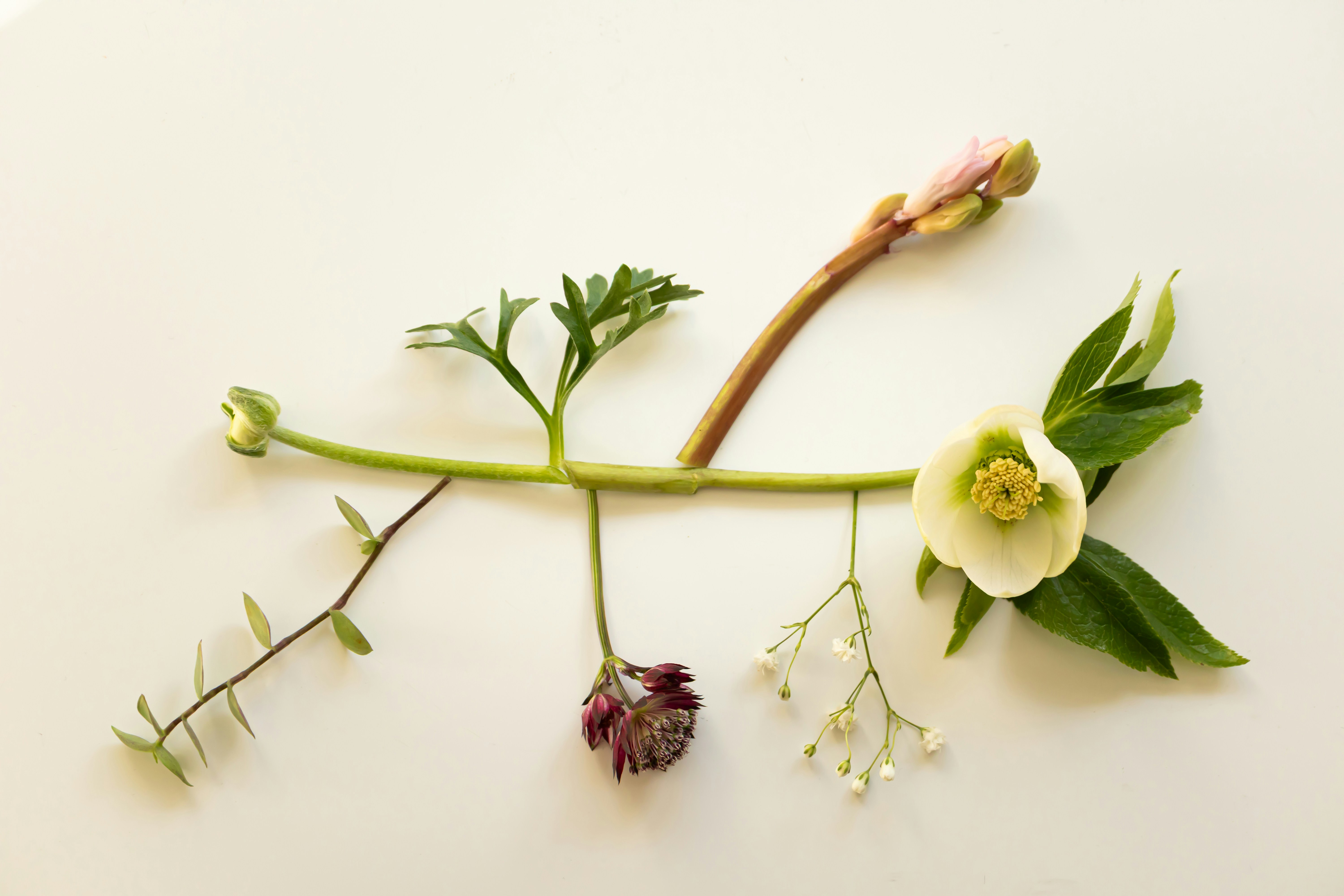aesthetic botanical art studio, wallpaper, Nature Crafts for Adults to Sell: Profitable Eco-Friendly Ideas 2