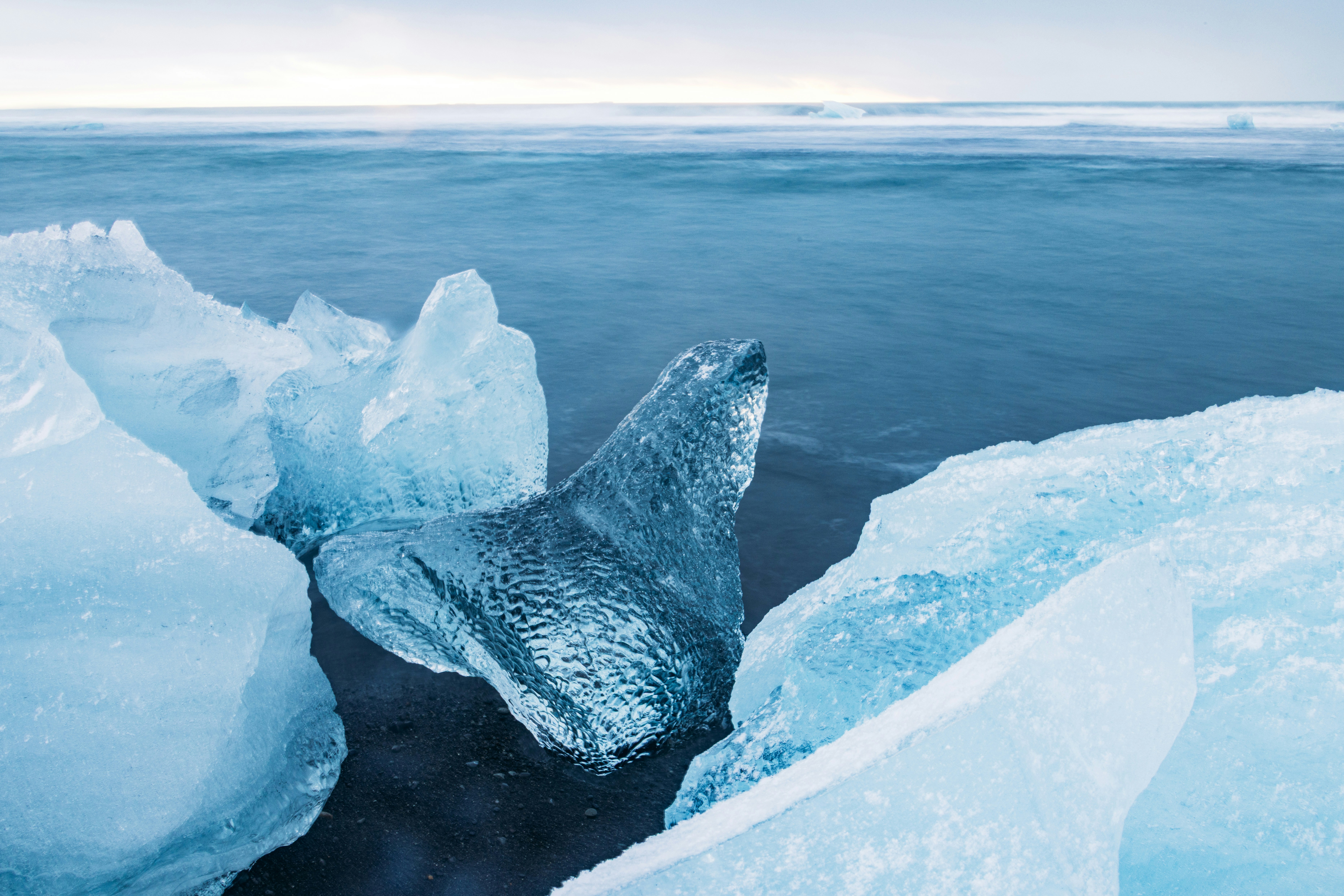 Luminous blue icebergs on a dark volcanic beach.
