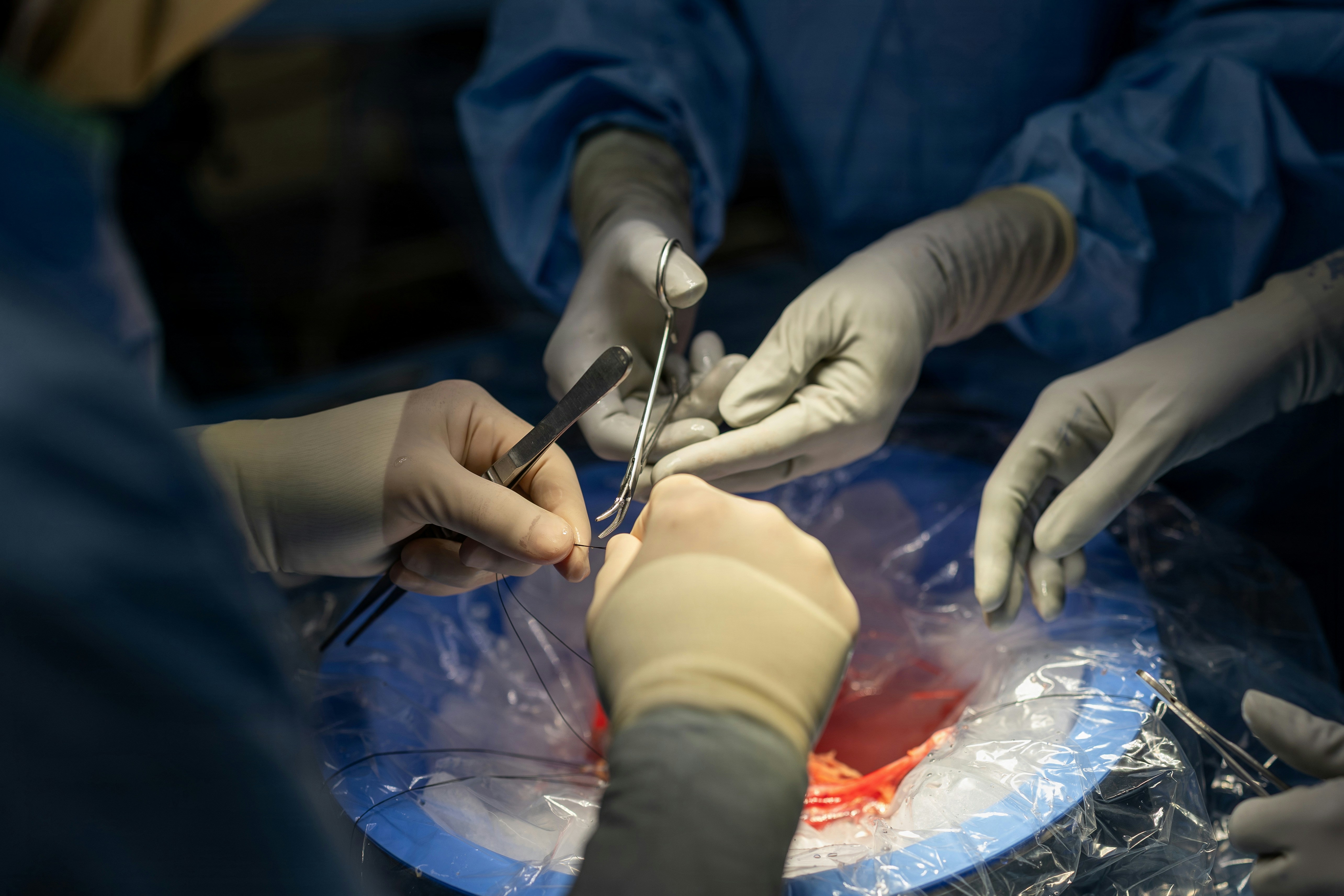Photo by navymedicine