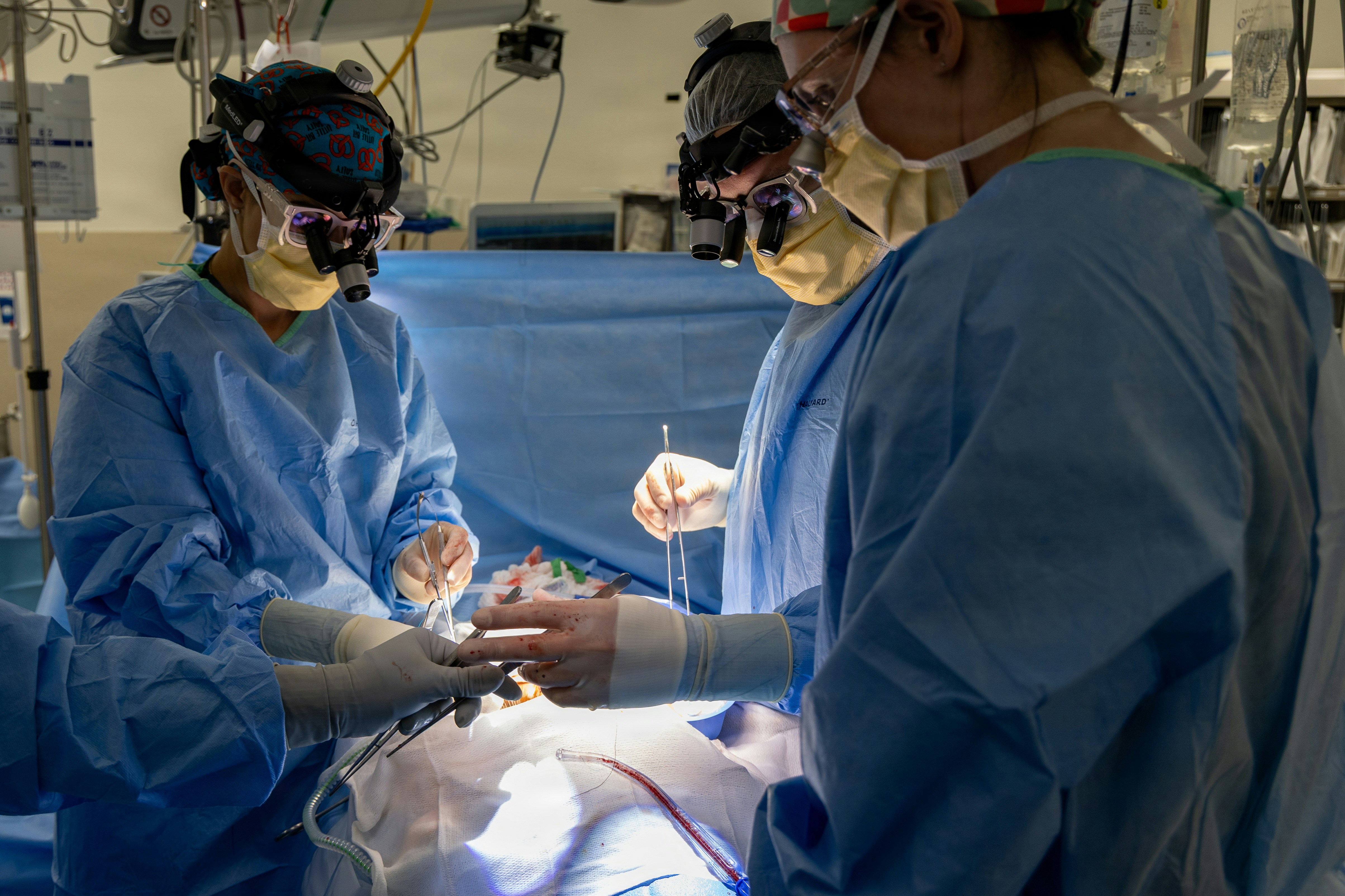 Photo by navymedicine