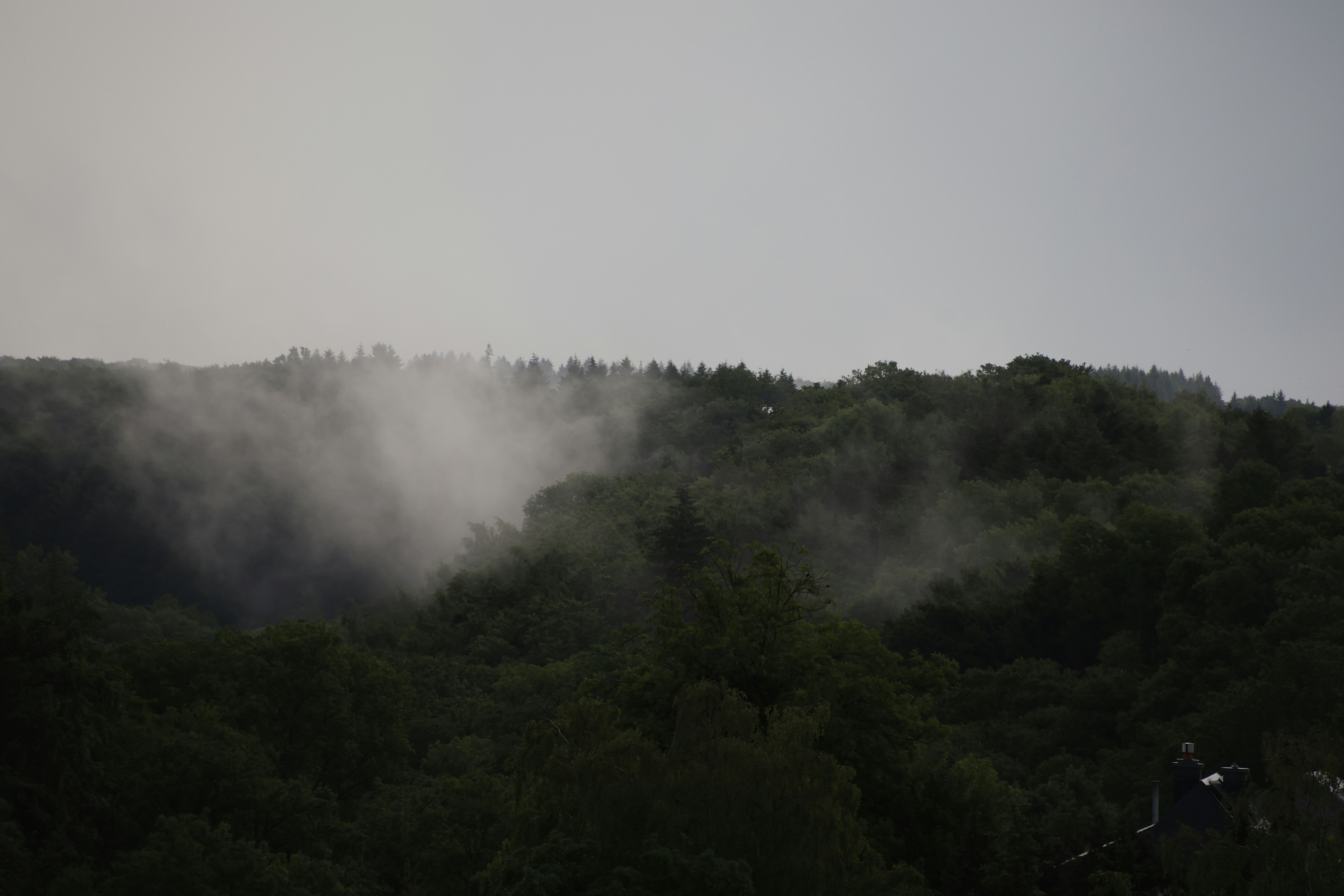 Photo by cryptrz