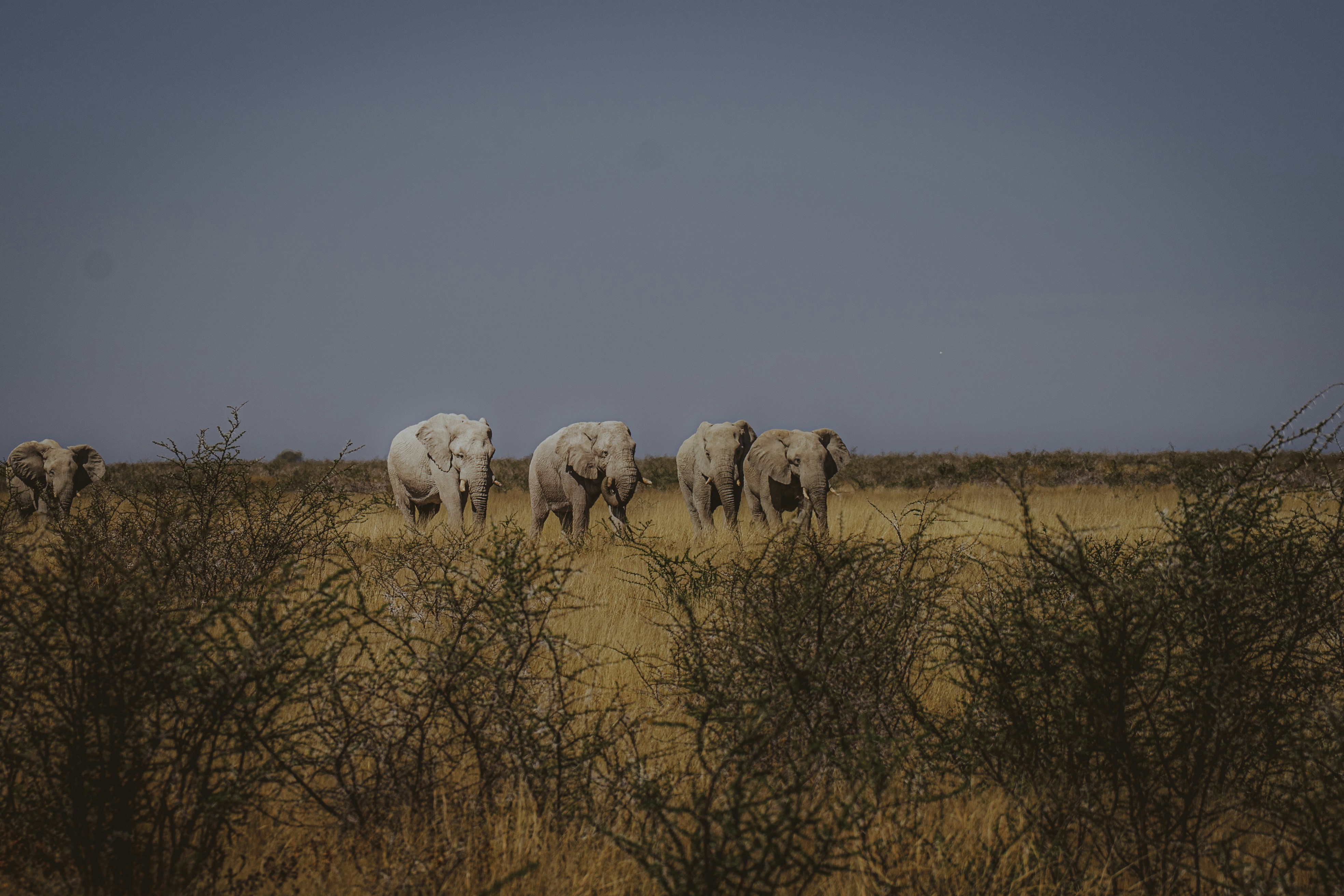 Photo by mathiasdargnat