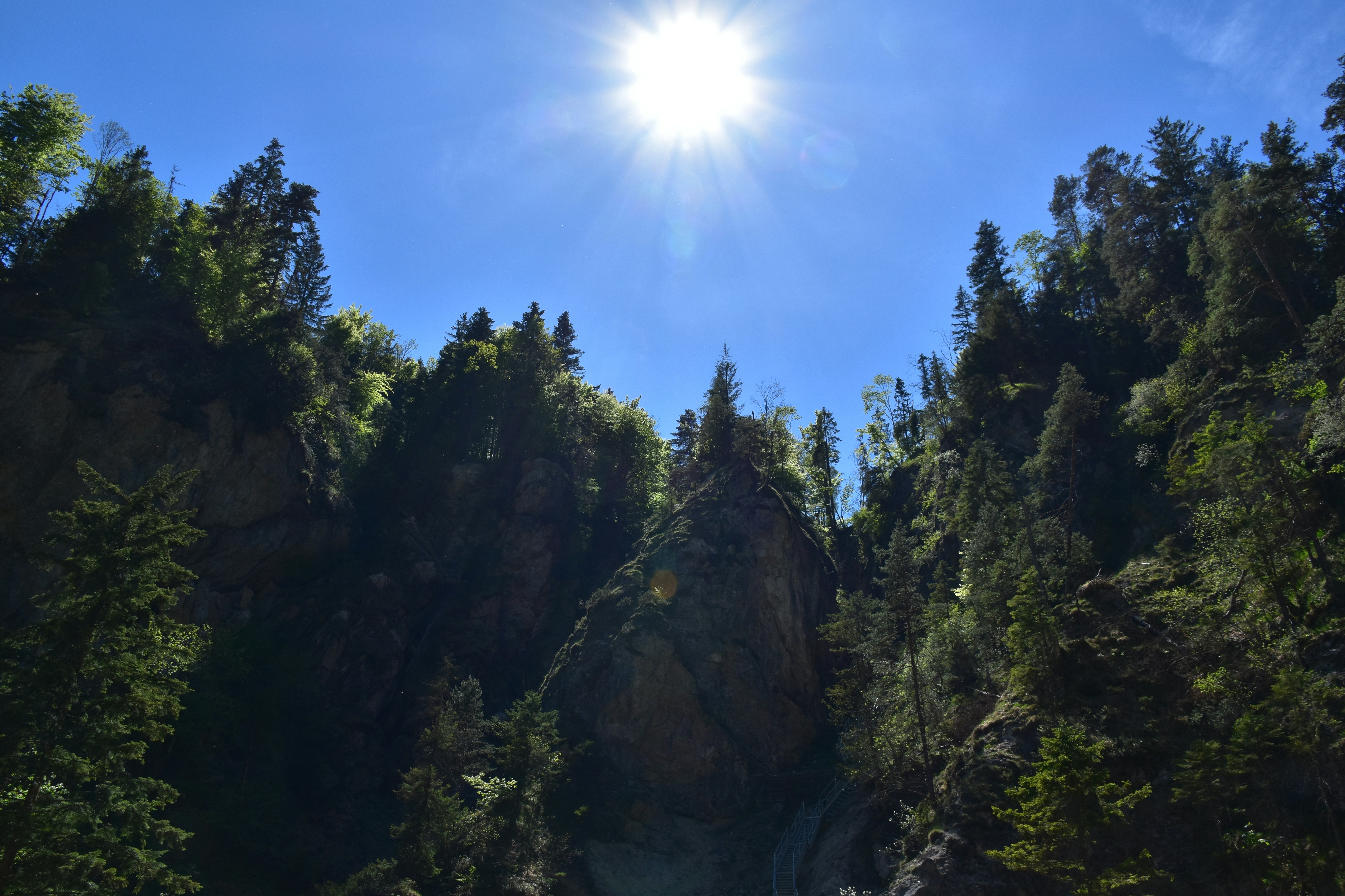 Photo by heilbron
