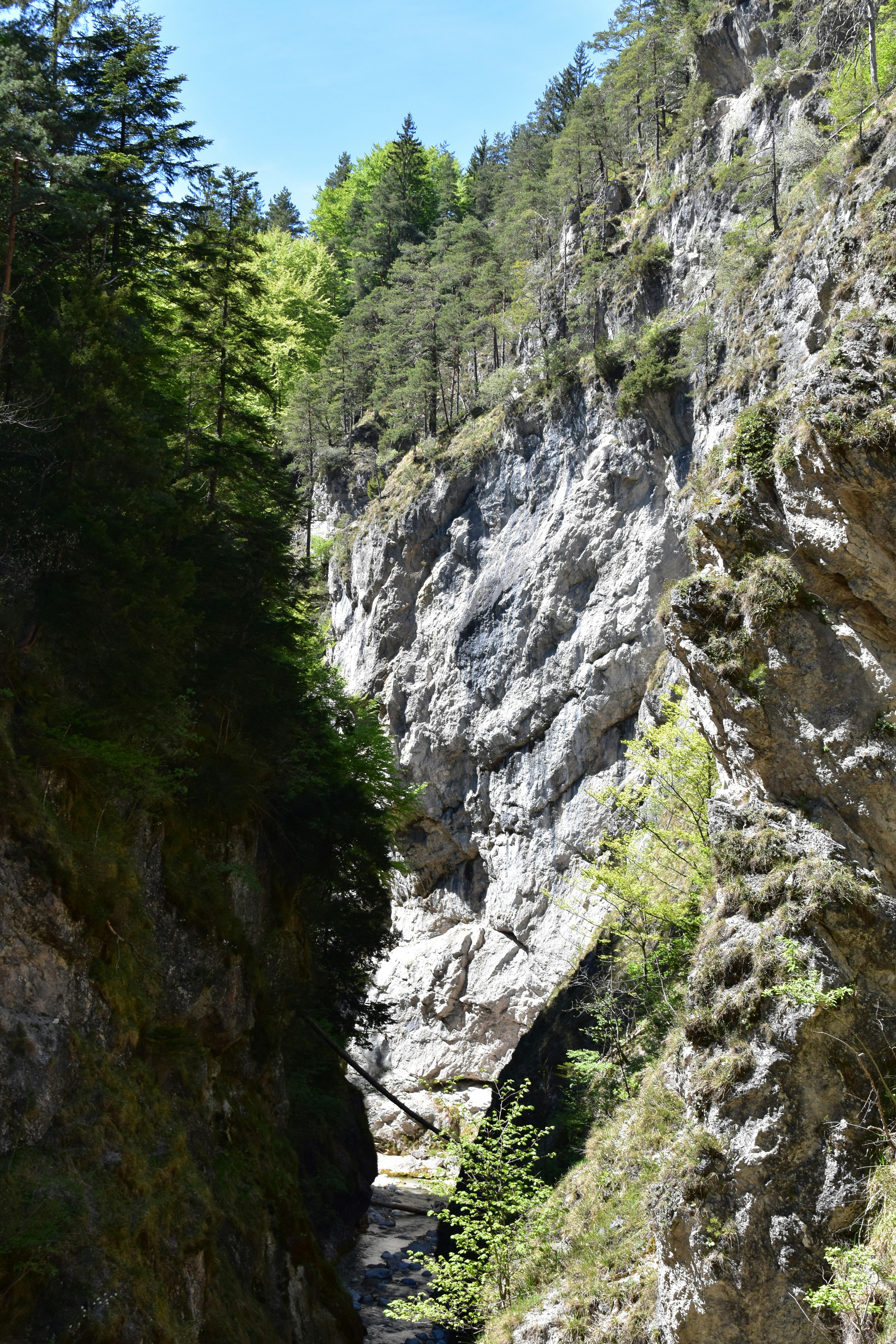 Photo by heilbron