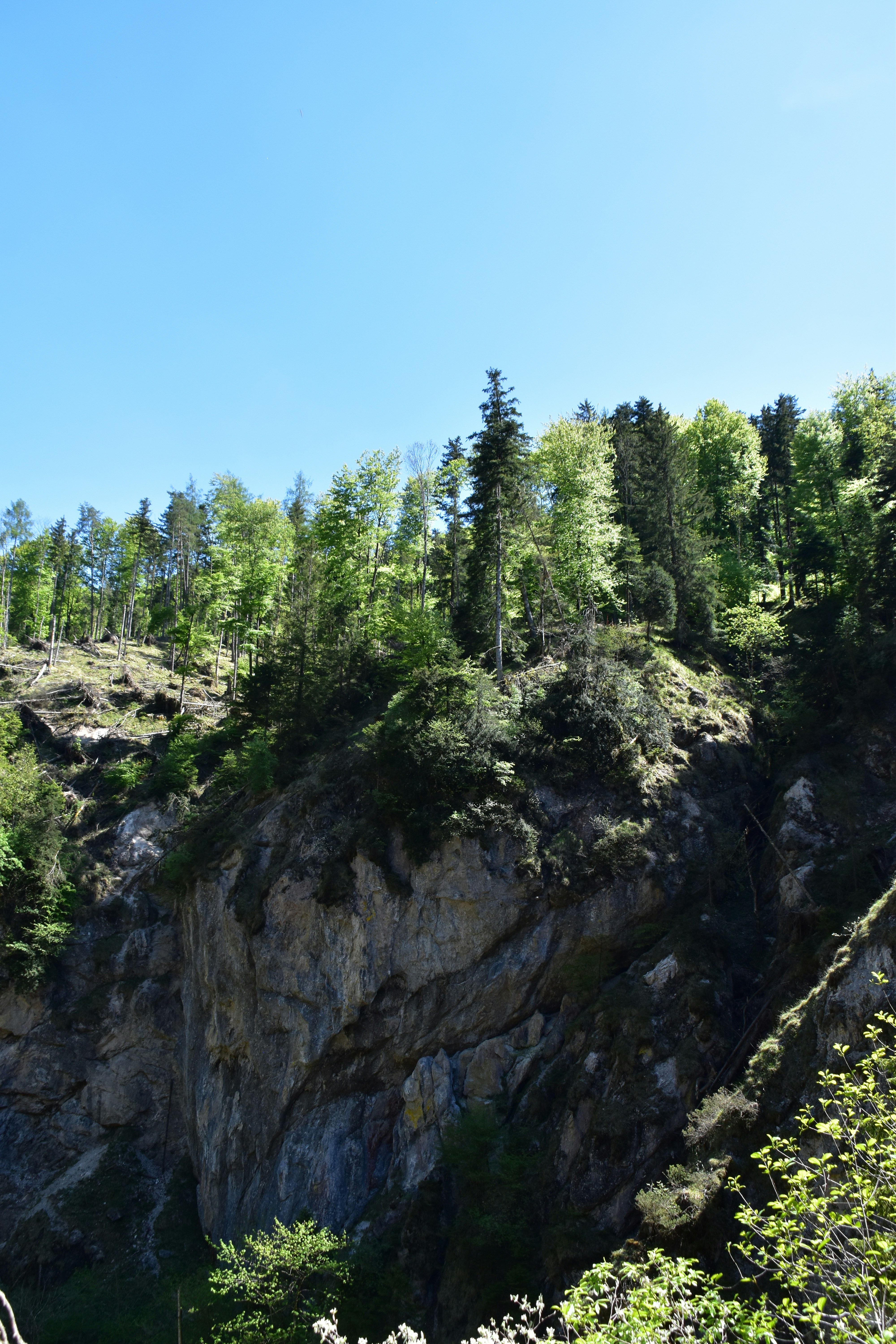 Photo by heilbron