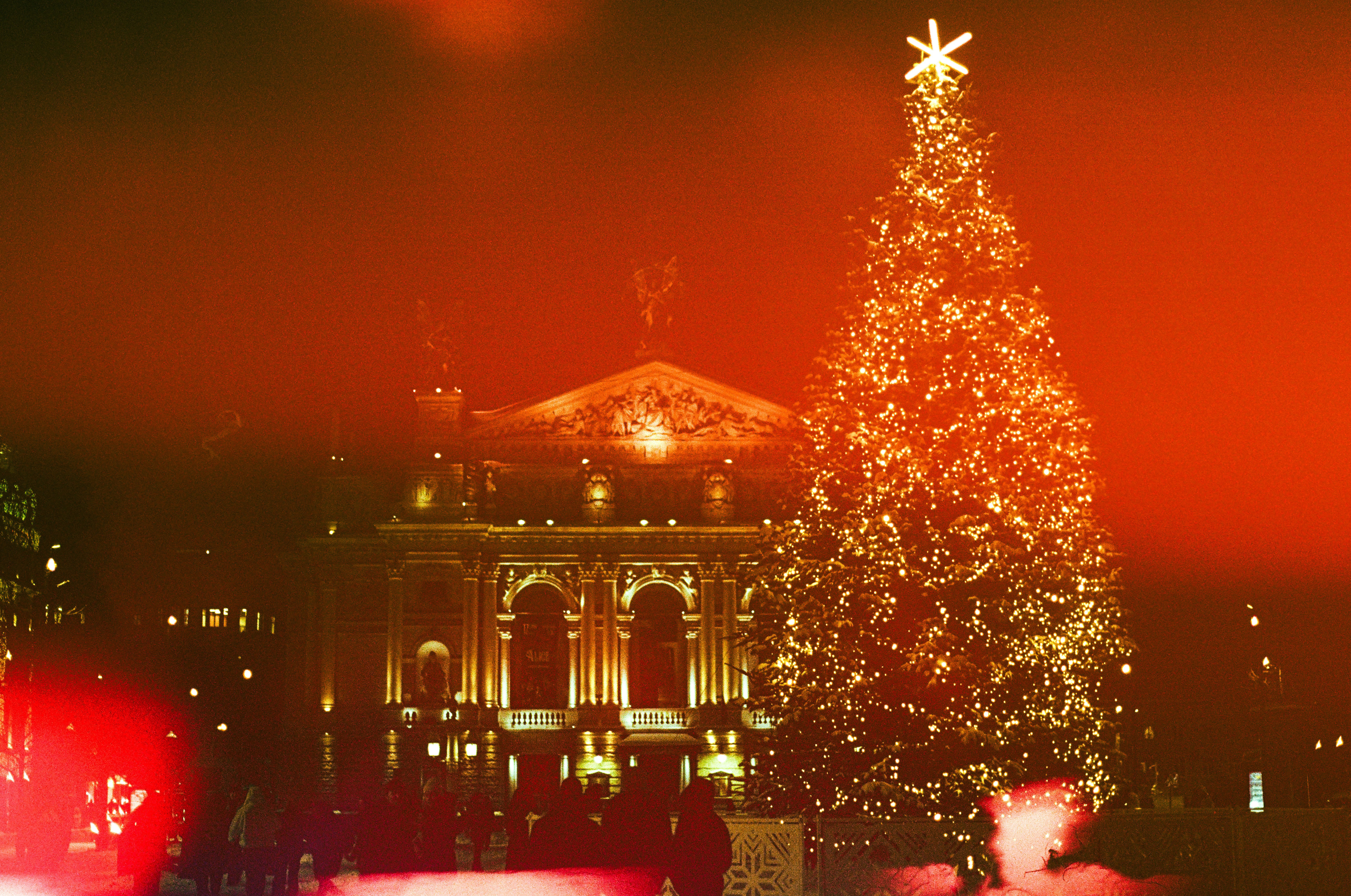 Festive christmas tree and building illuminated at night.