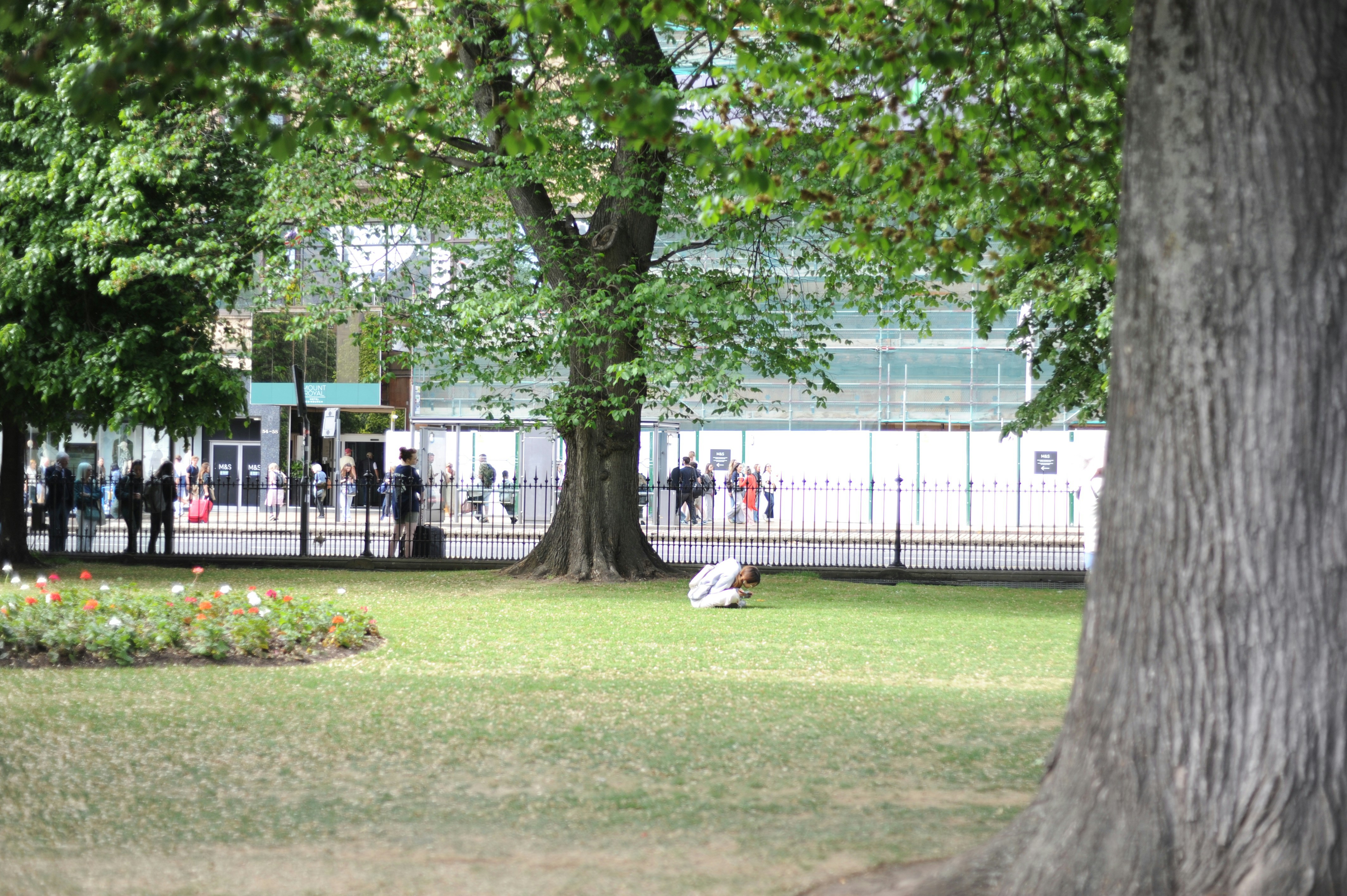 A person sits on grass in a park with trees.