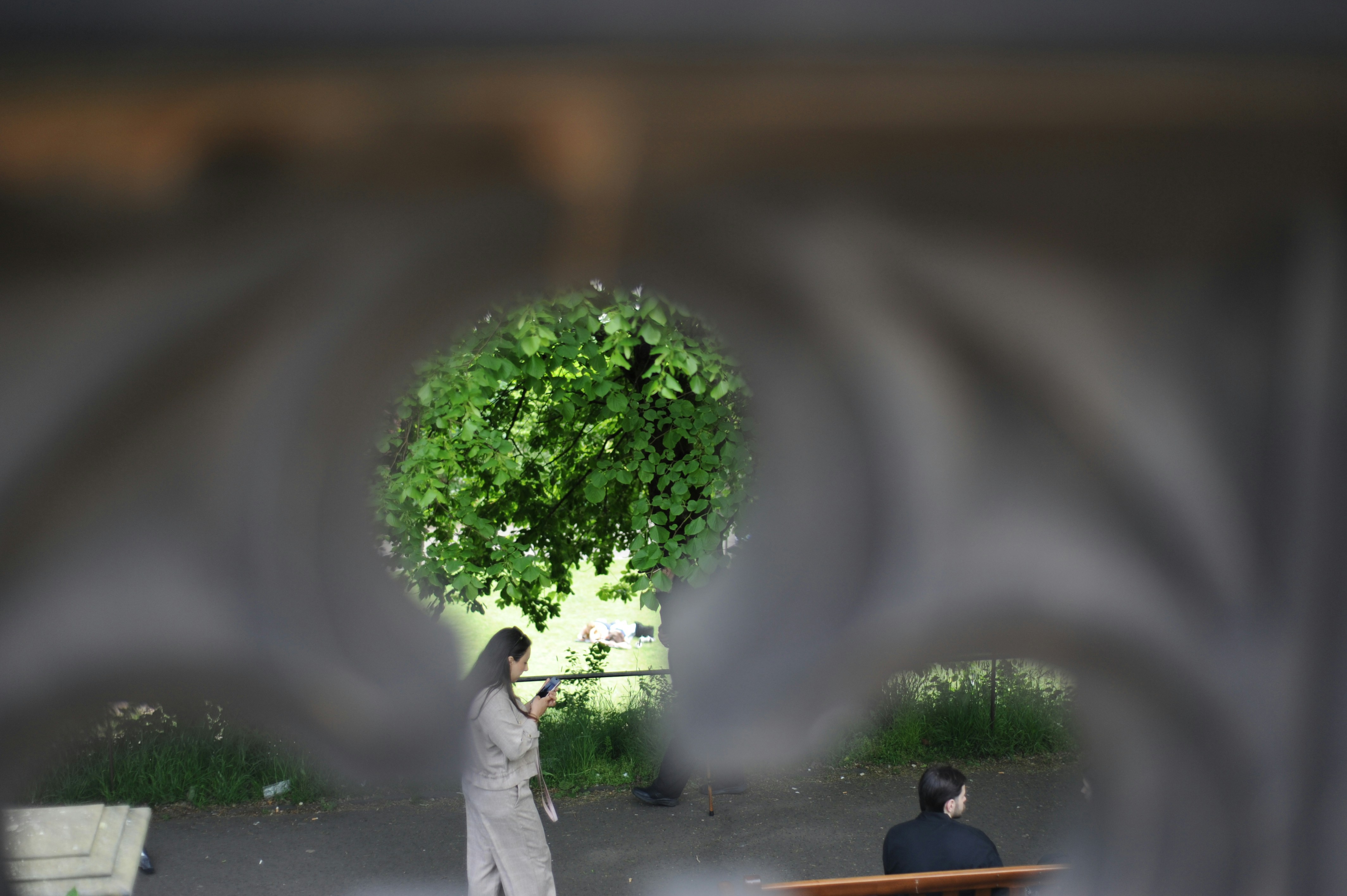People framed by abstract structure with green spherical bush.