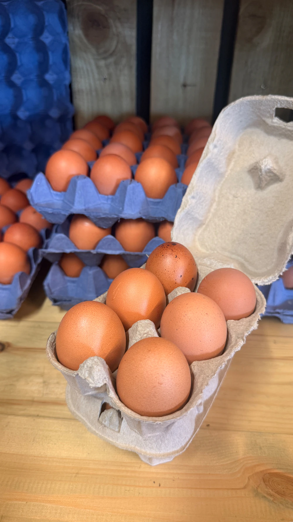 Dairy & Eggs