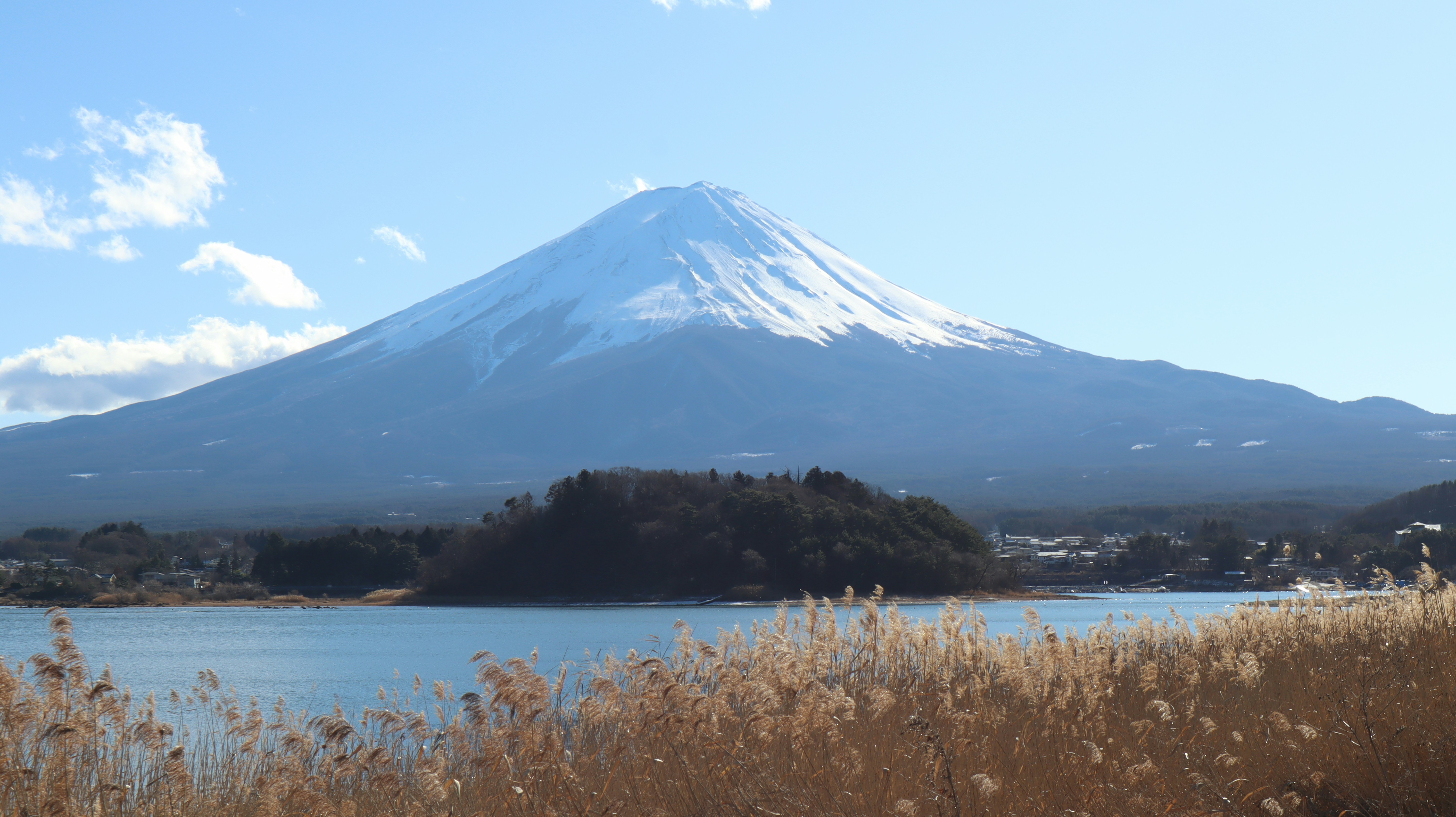 Photo by nnulll___