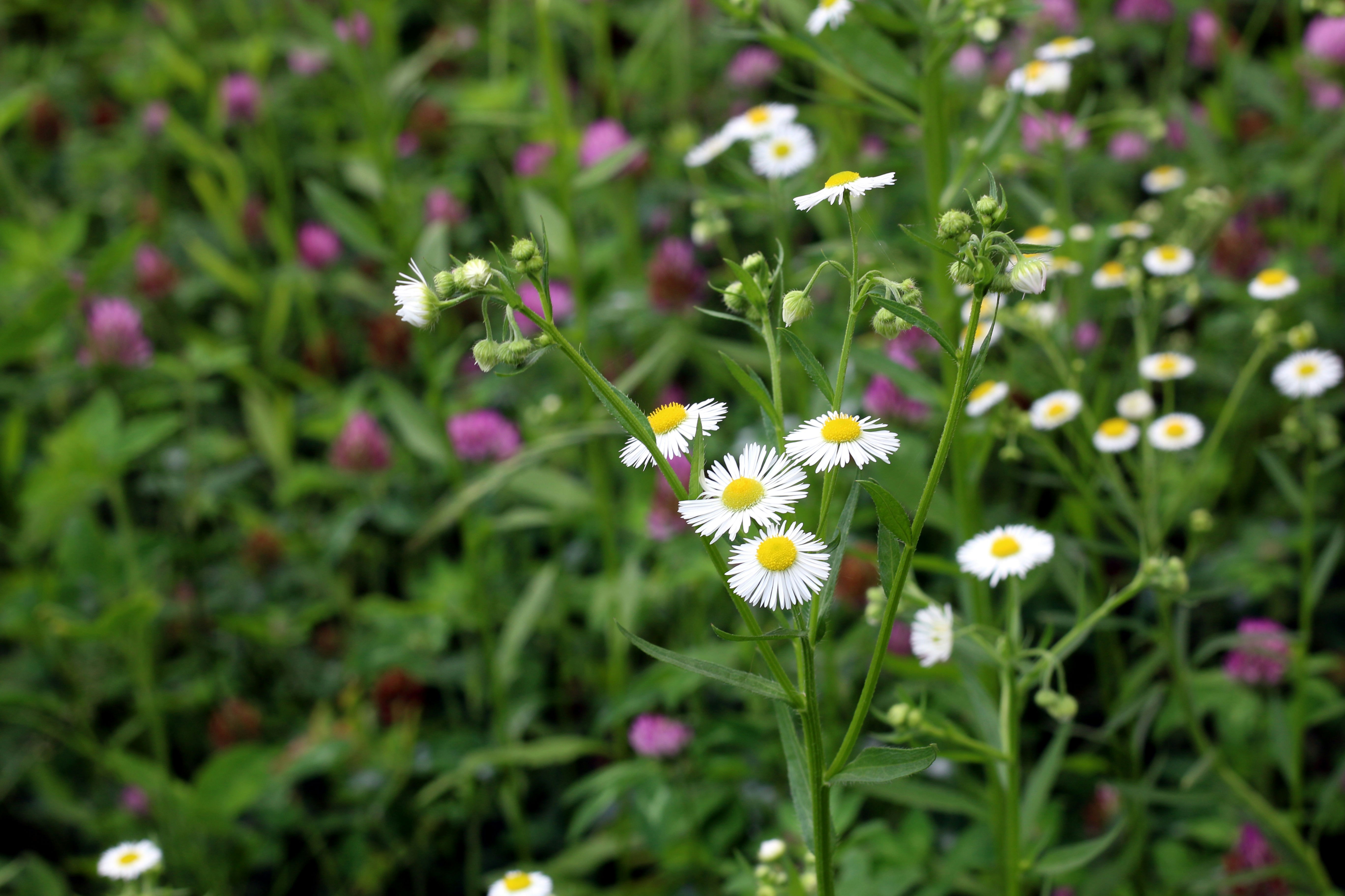 Photo by chulho