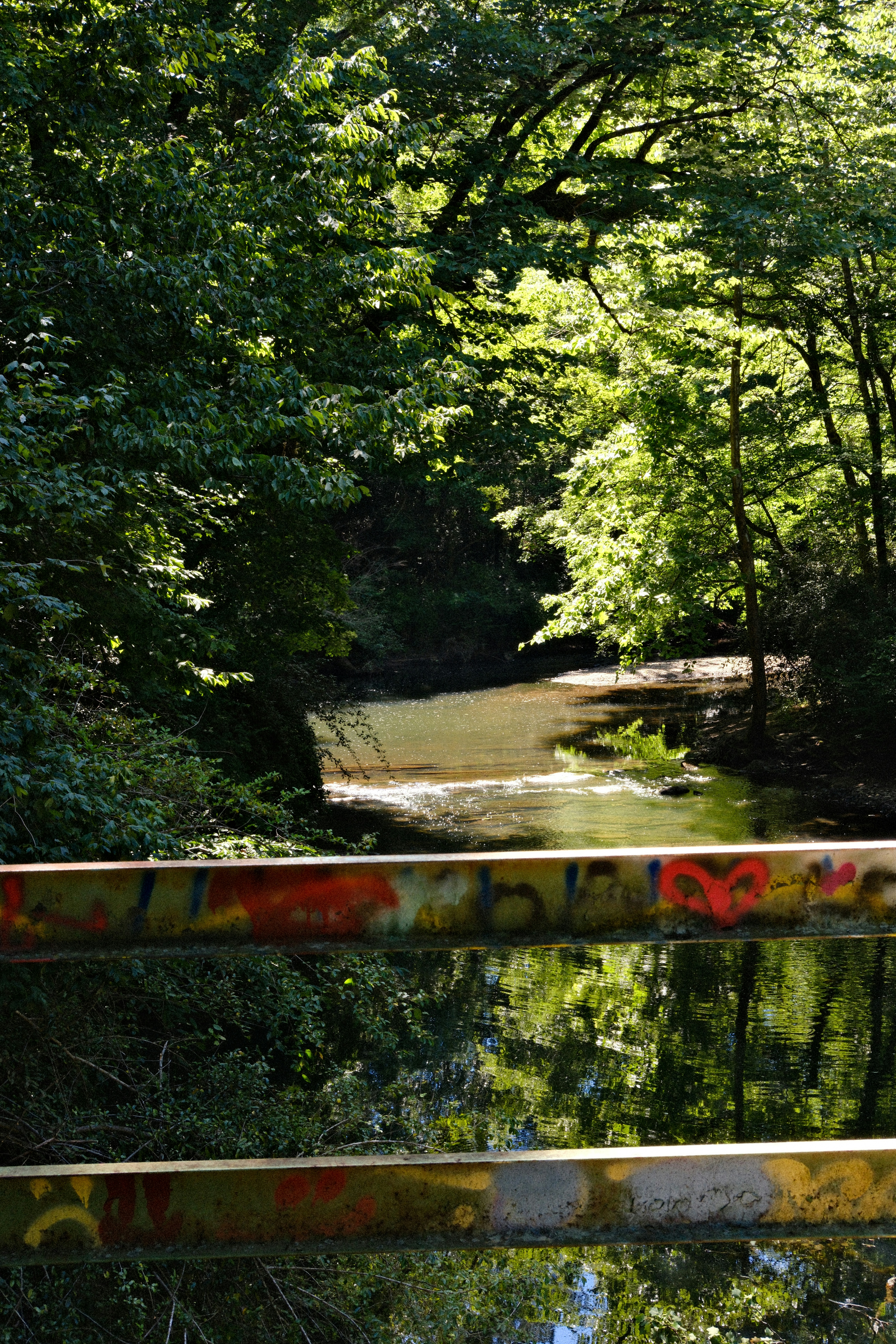River in a green forest, viewed over a graffiti railing.