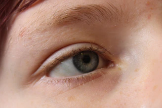 Gray-blue human eye with light brown eyebrow and fair skin