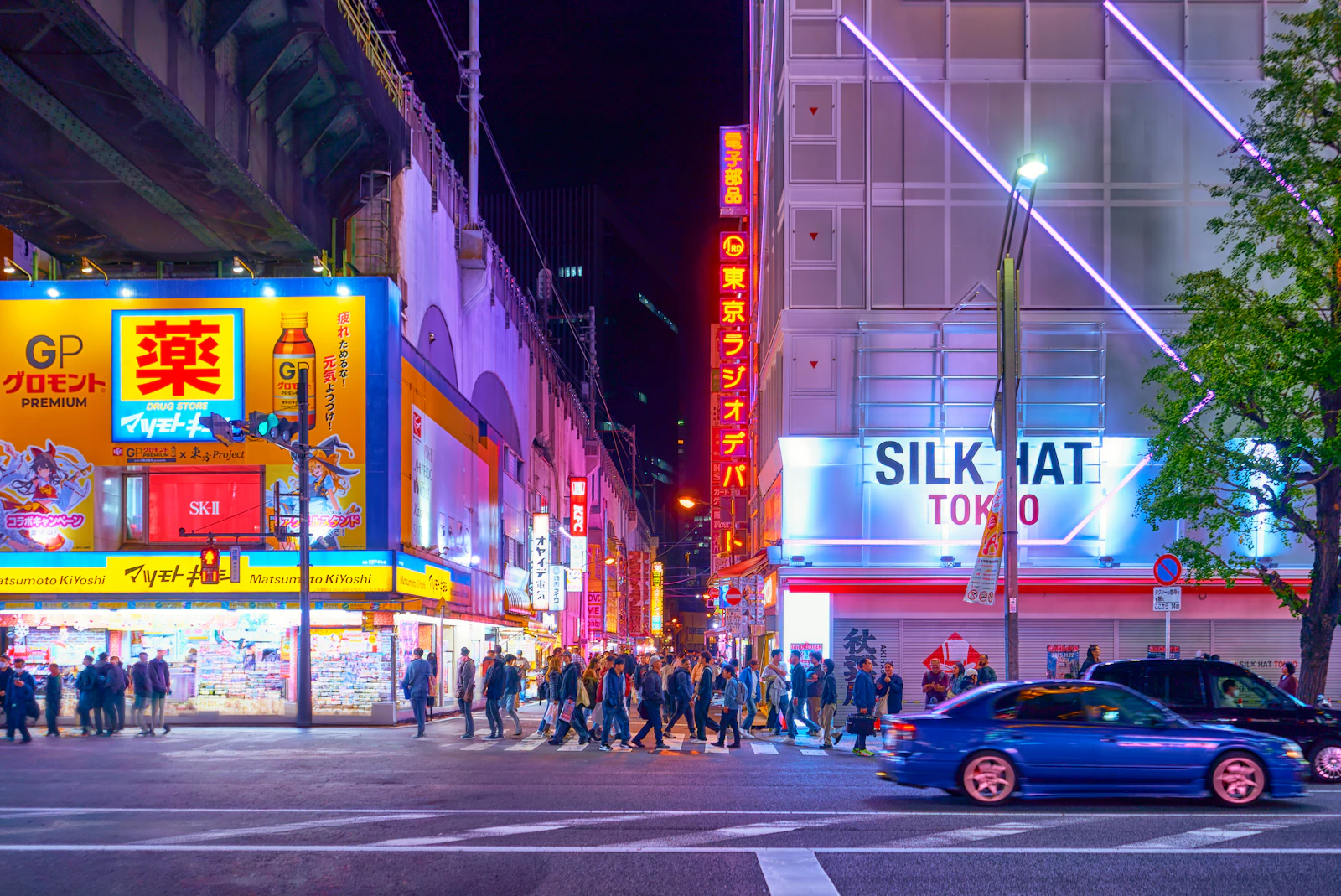 Tokio: Asakusa, Odaiba y Akihabara