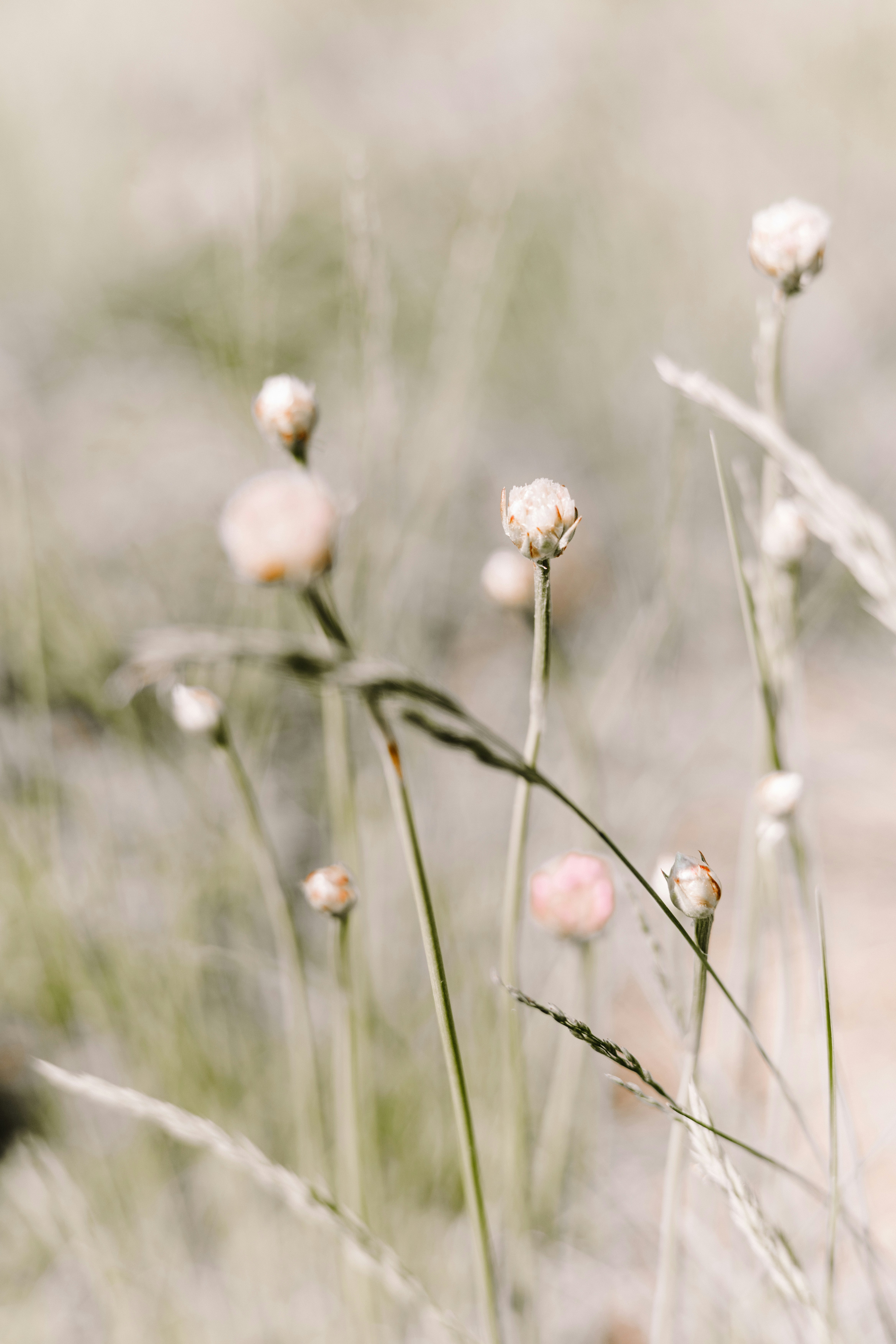 Photo by anamnesis33