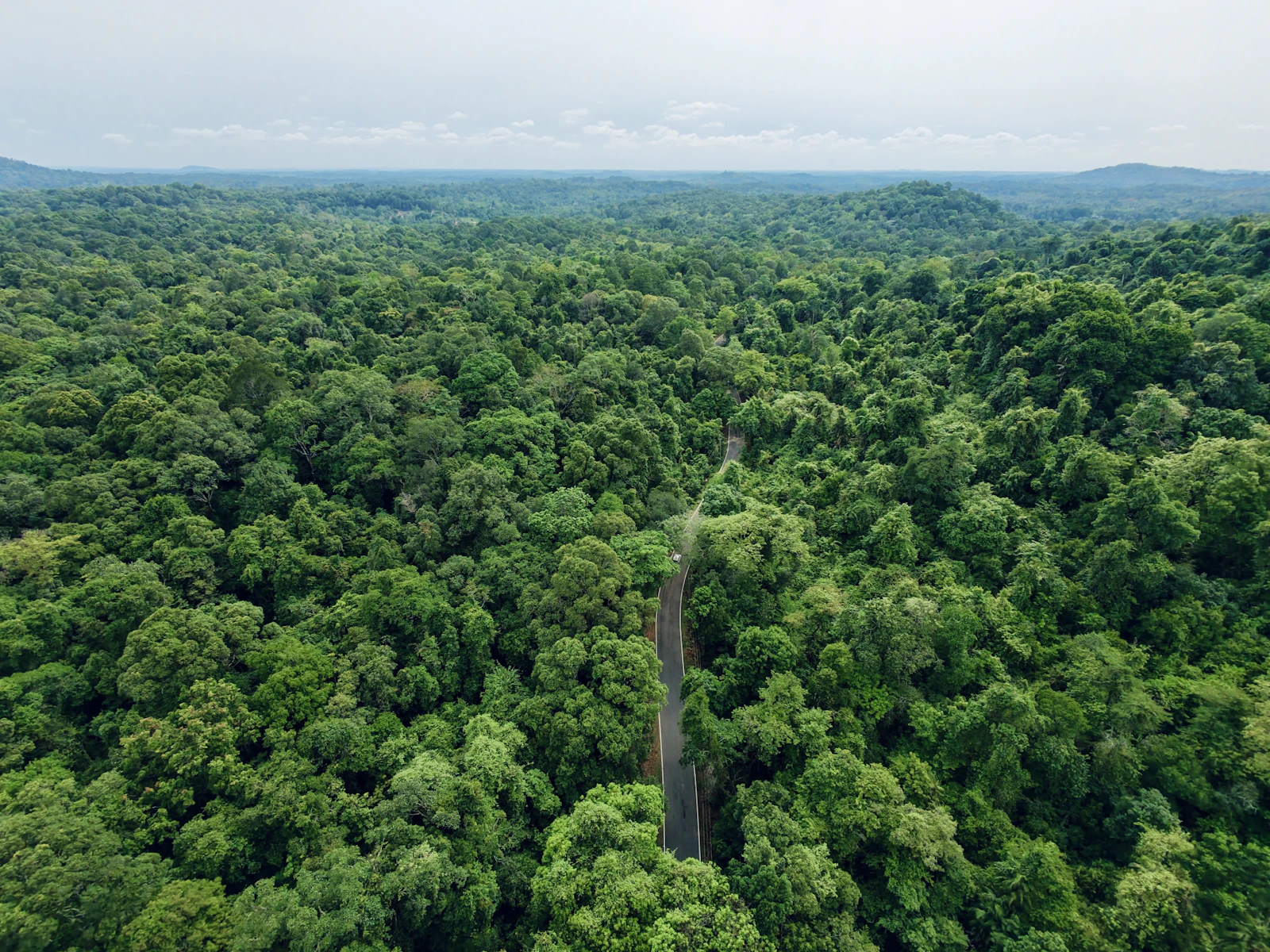 Paisaje representativo de Panamá Este