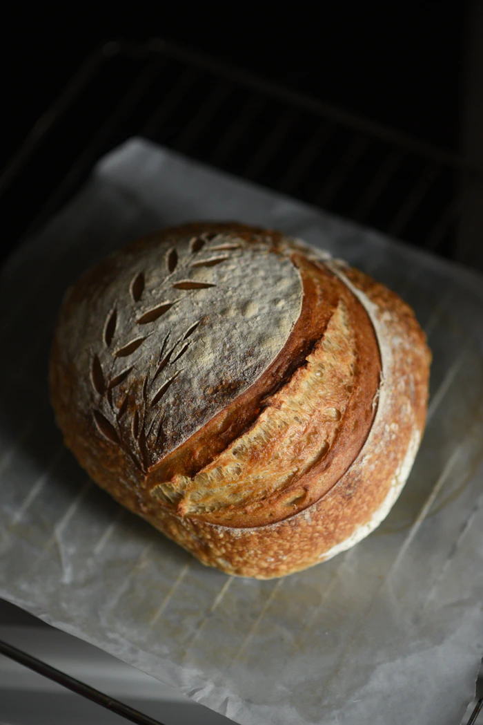 Frisch gebackenes Sauerteigbrot