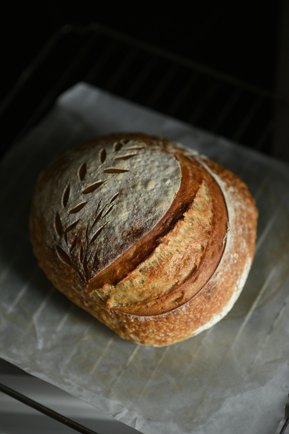 A scored sourdough loaf fresh from the oven