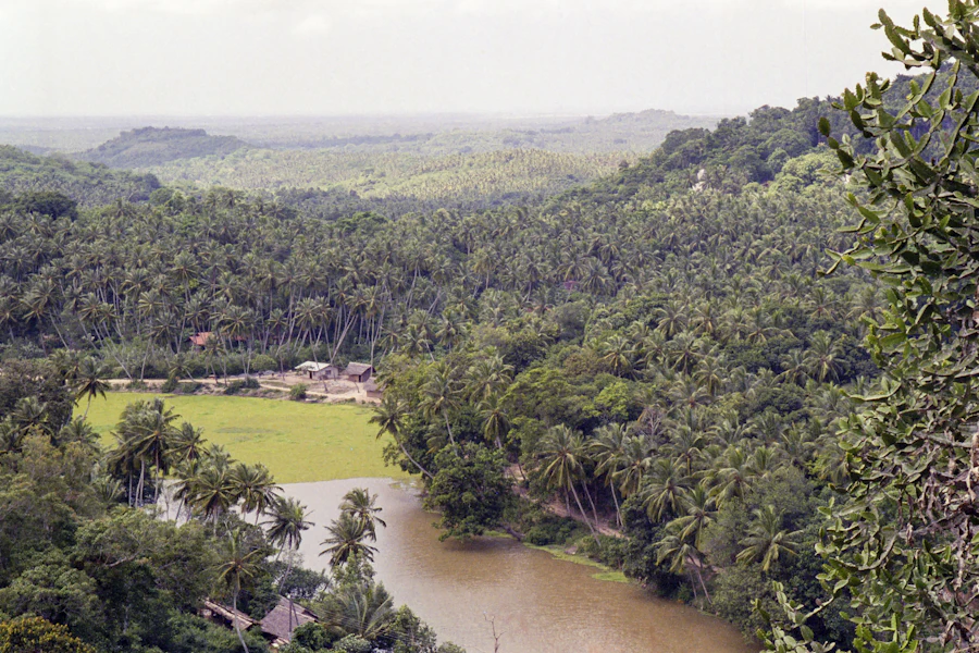 Lush tropical valley with river and green fields, land for sale Pahang Malaysia