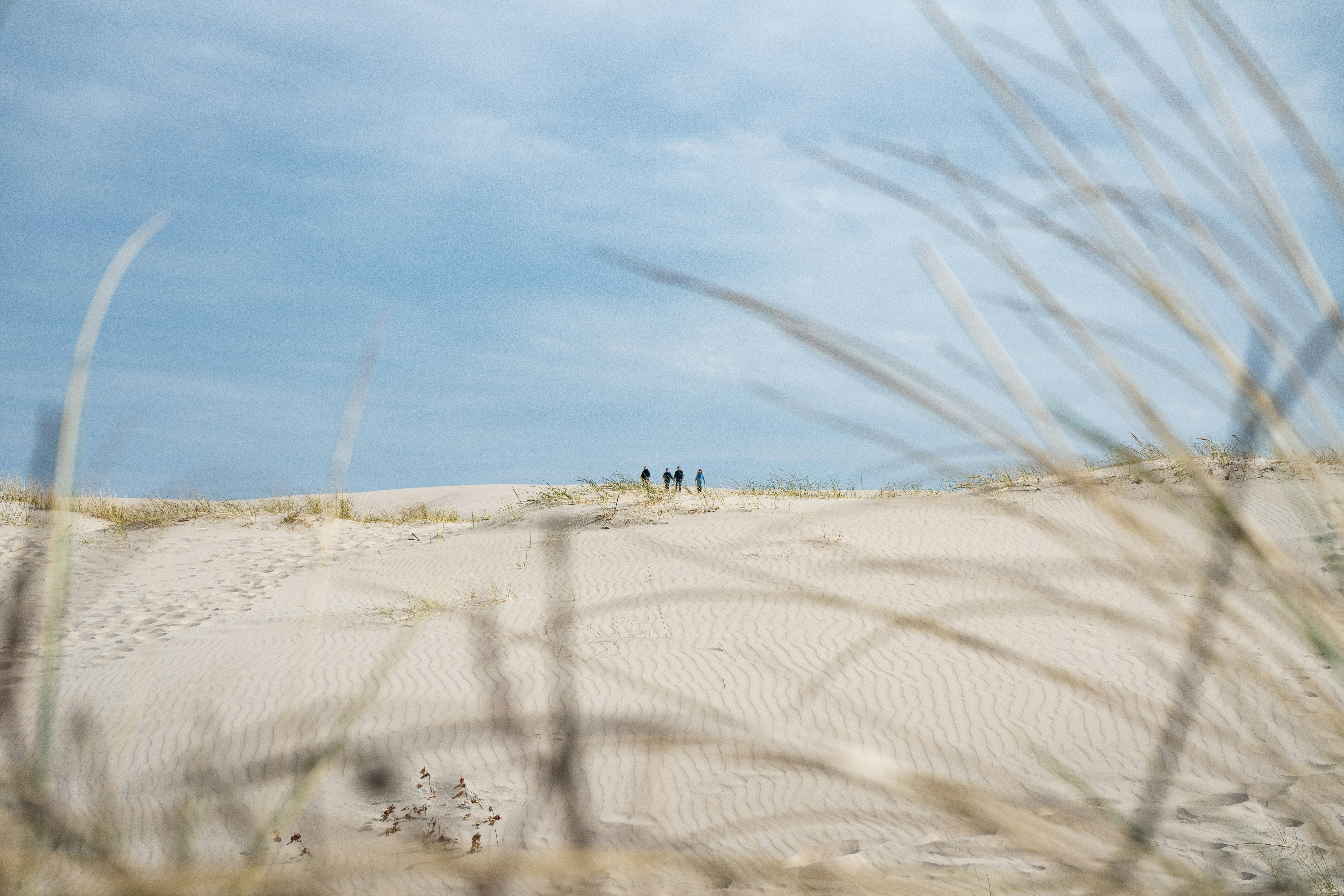 guided walking tour