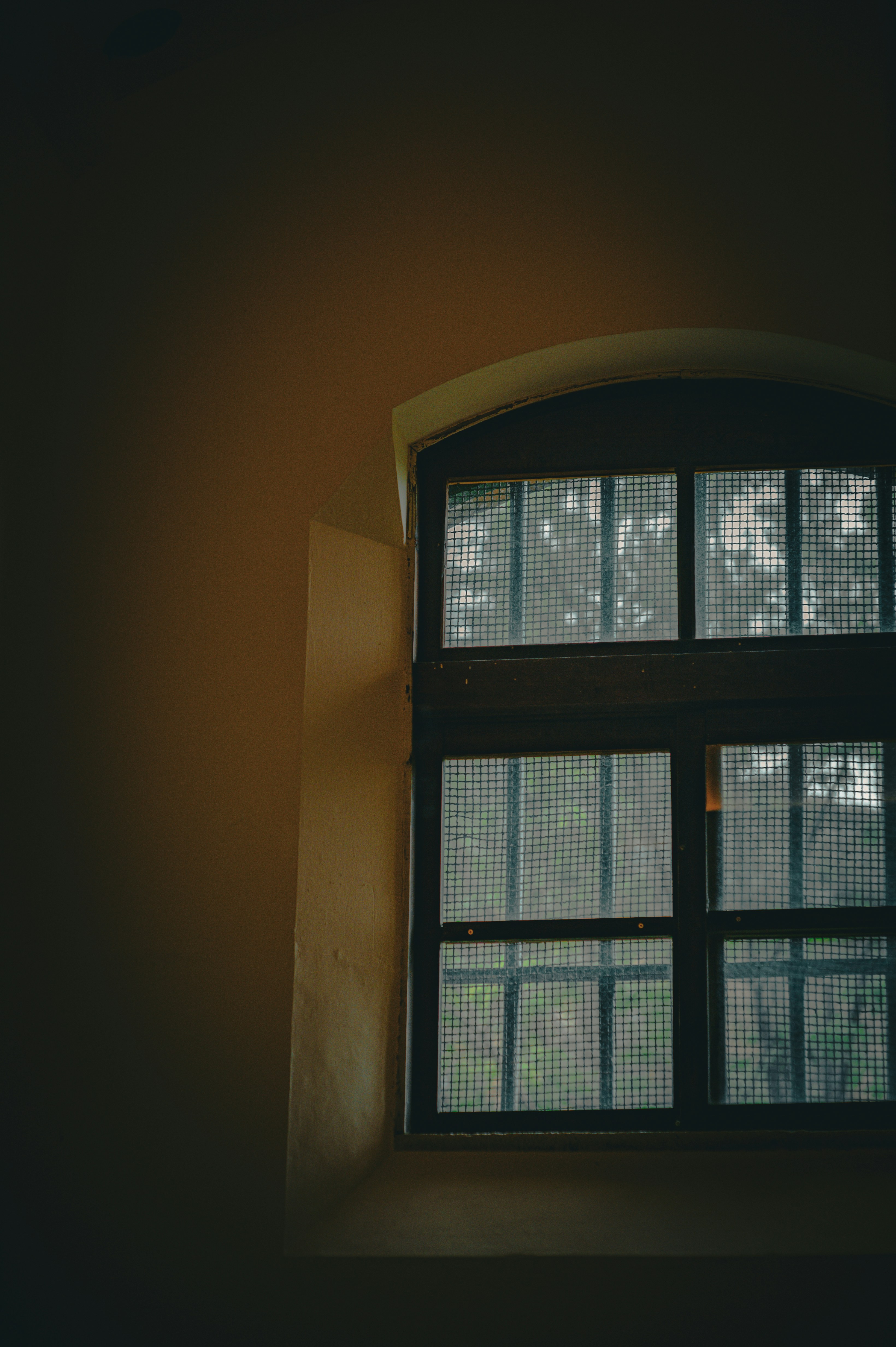 Photo by isoten