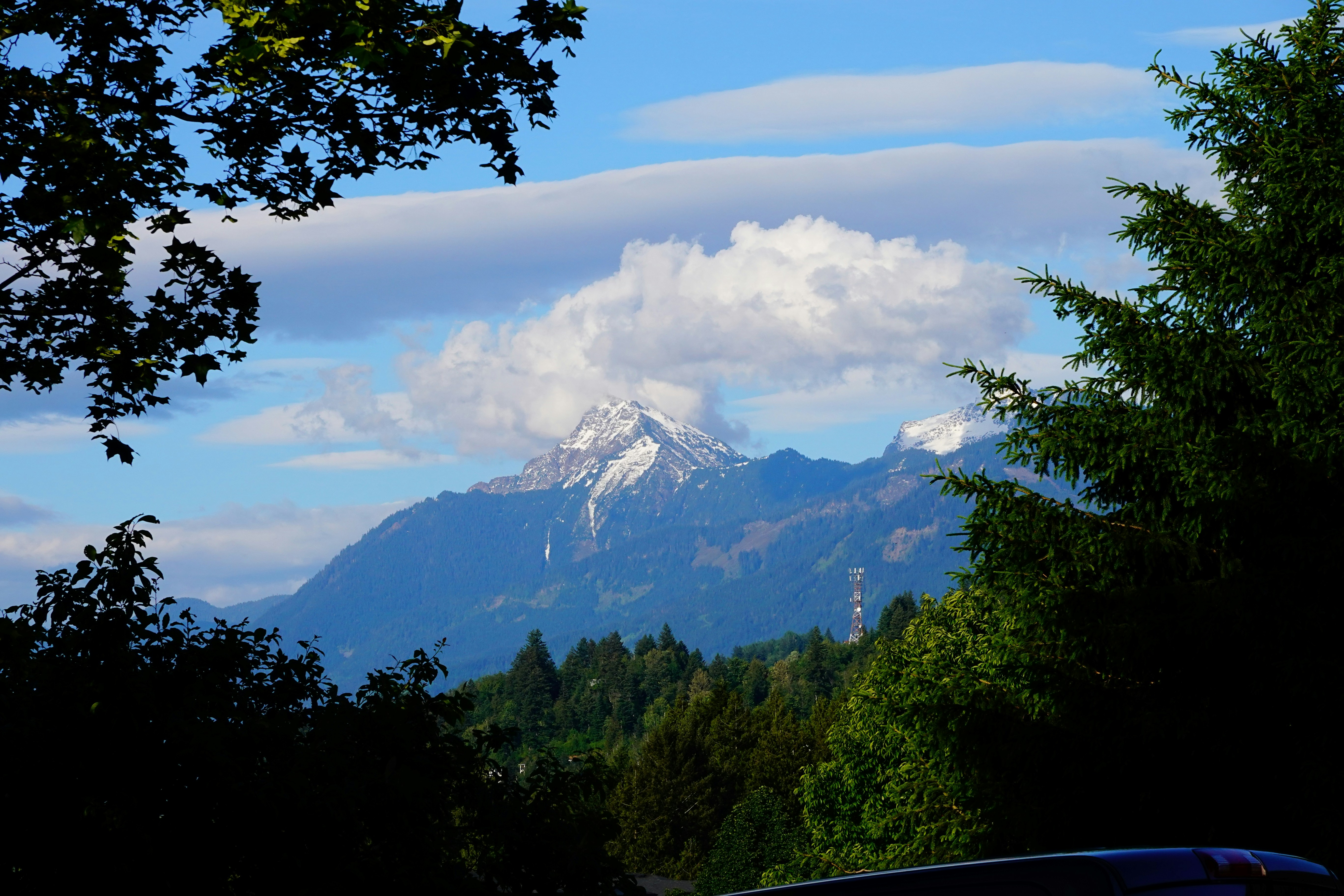 Snow-capped mountains framed by trees under a blue, cloudy sky.