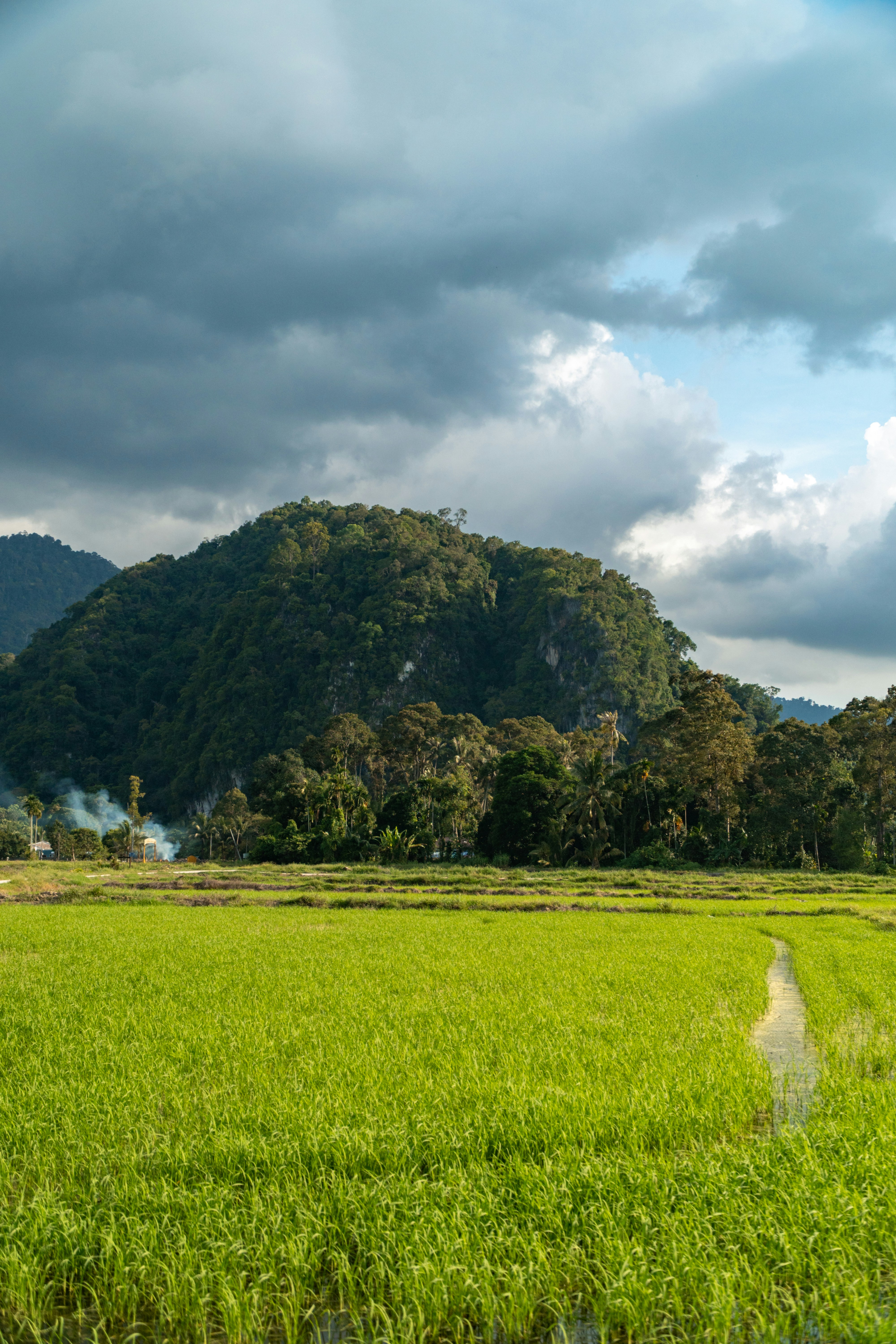 tropical rainforest mountain landscape, wallpaper, Akhir Perang Banjar: Analisis Sejarah dan Runtuhnya Perlawanan 6